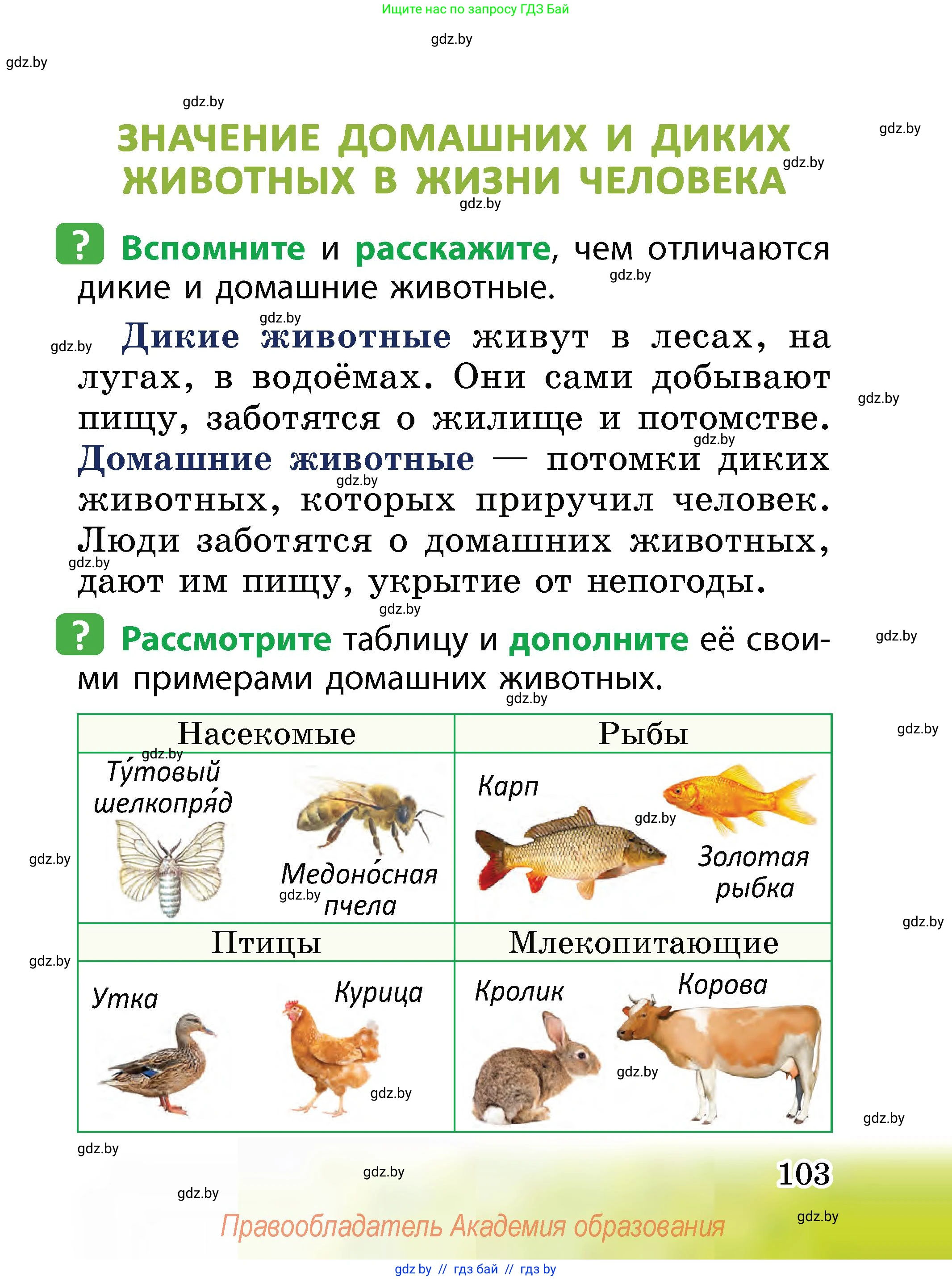 Человек и мир, 2 класс Учебник, авторы: Трафимова Галина Владимировна, Трафимов Сергей Анатольевич, издательство Академия образования, Минск, 2024, страница 103