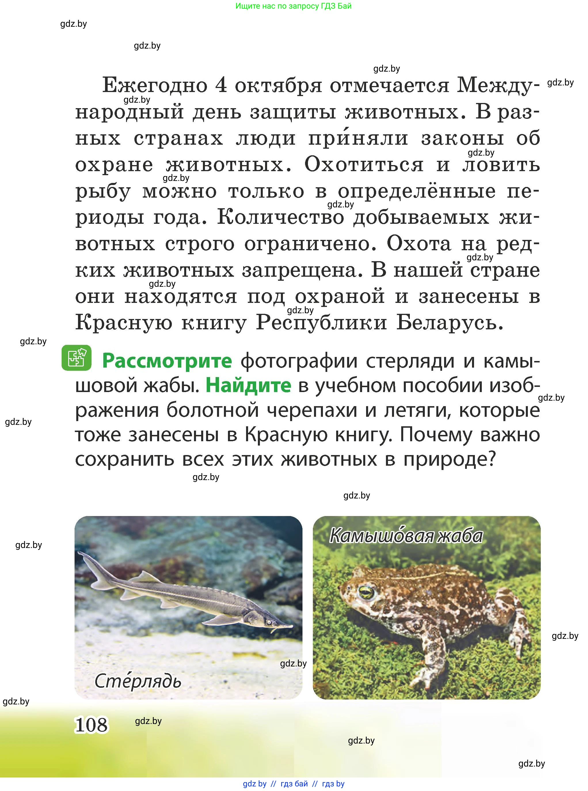 Человек и мир, 2 класс Учебник, авторы: Трафимова Галина Владимировна, Трафимов Сергей Анатольевич, издательство Академия образования, Минск, 2024, страница 108