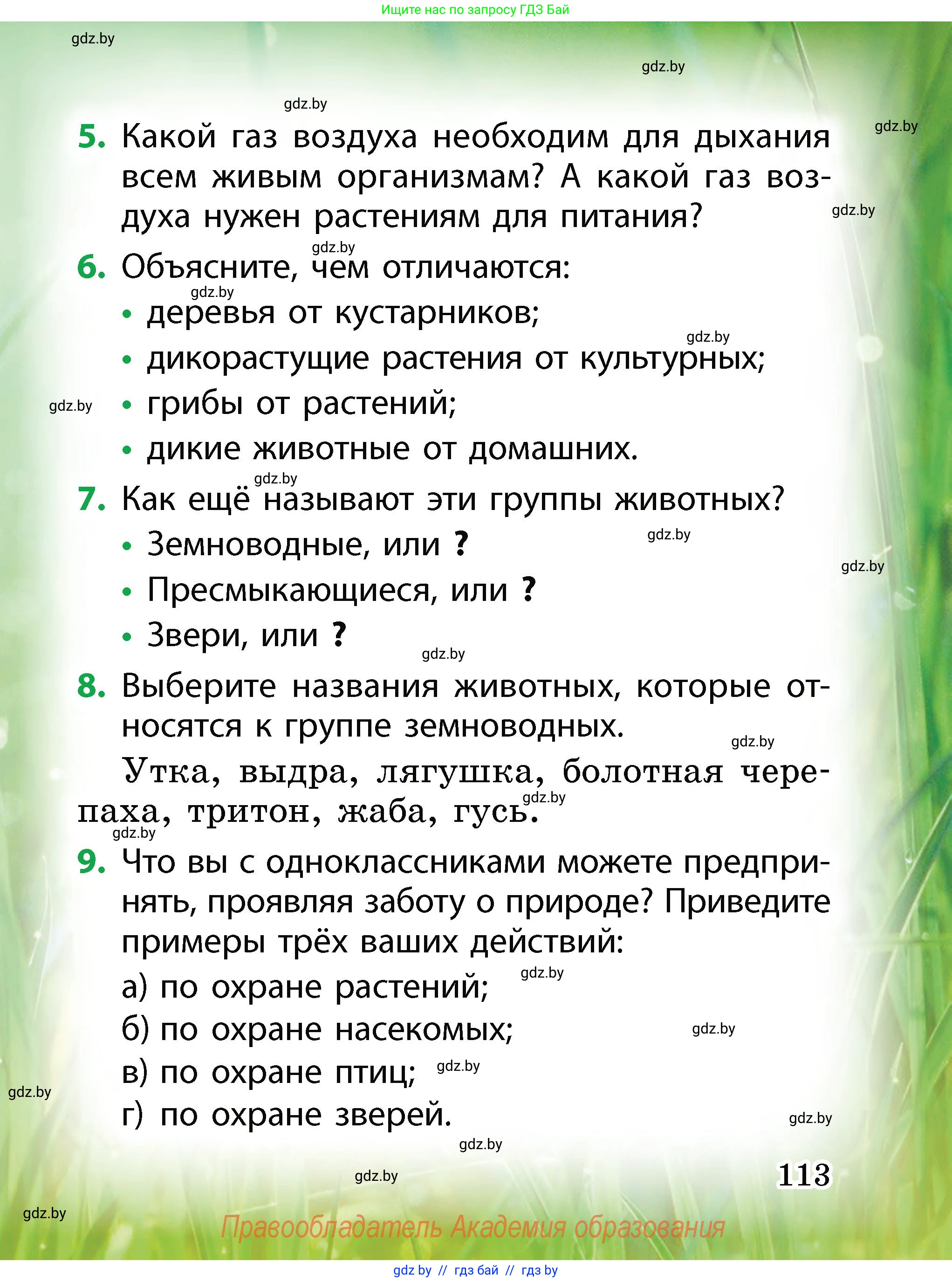Человек и мир, 2 класс Учебник, авторы: Трафимова Галина Владимировна, Трафимов Сергей Анатольевич, издательство Академия образования, Минск, 2024, страница 113