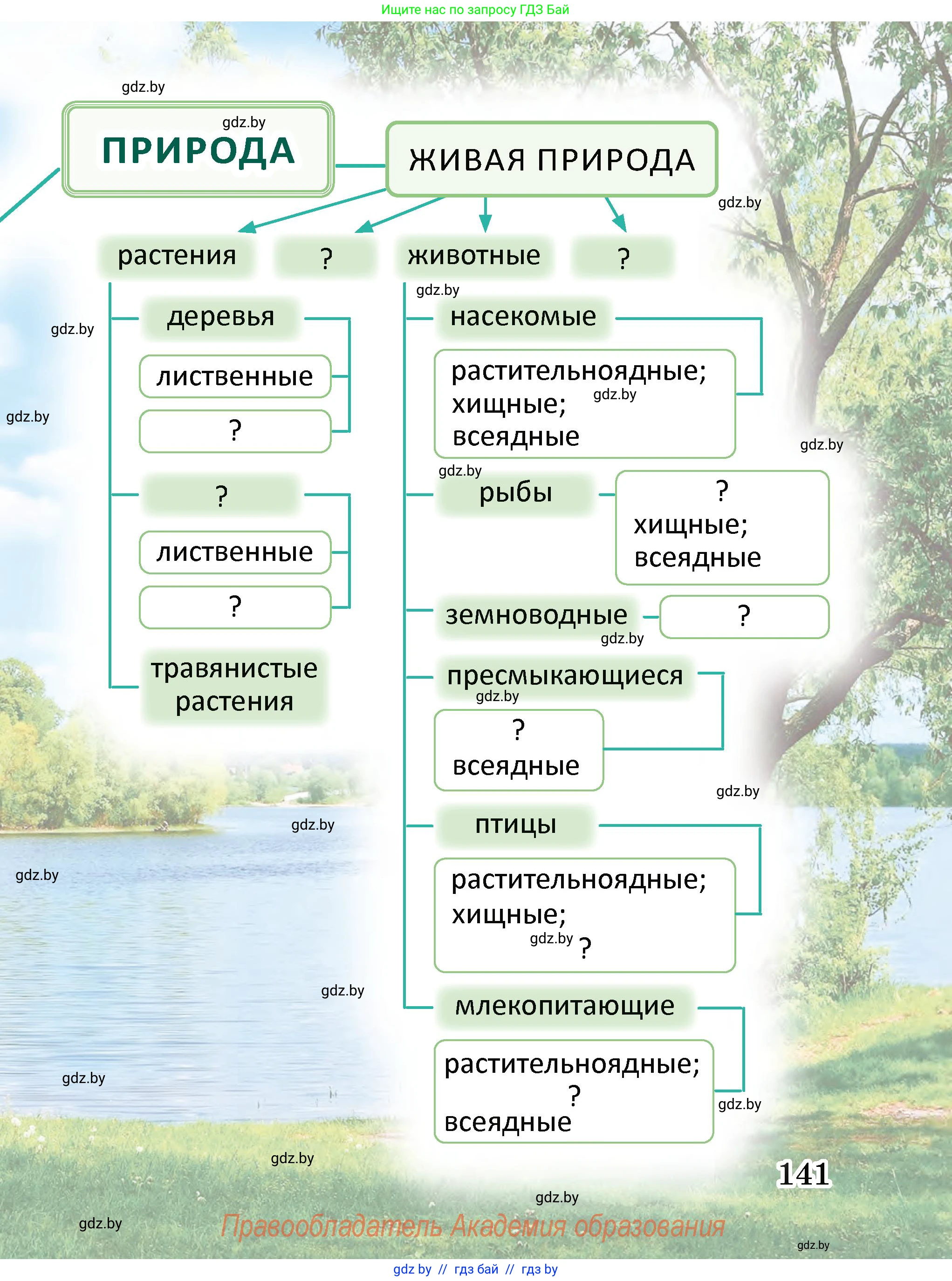 Человек и мир, 2 класс Учебник, авторы: Трафимова Галина Владимировна, Трафимов Сергей Анатольевич, издательство Академия образования, Минск, 2024, страница 141