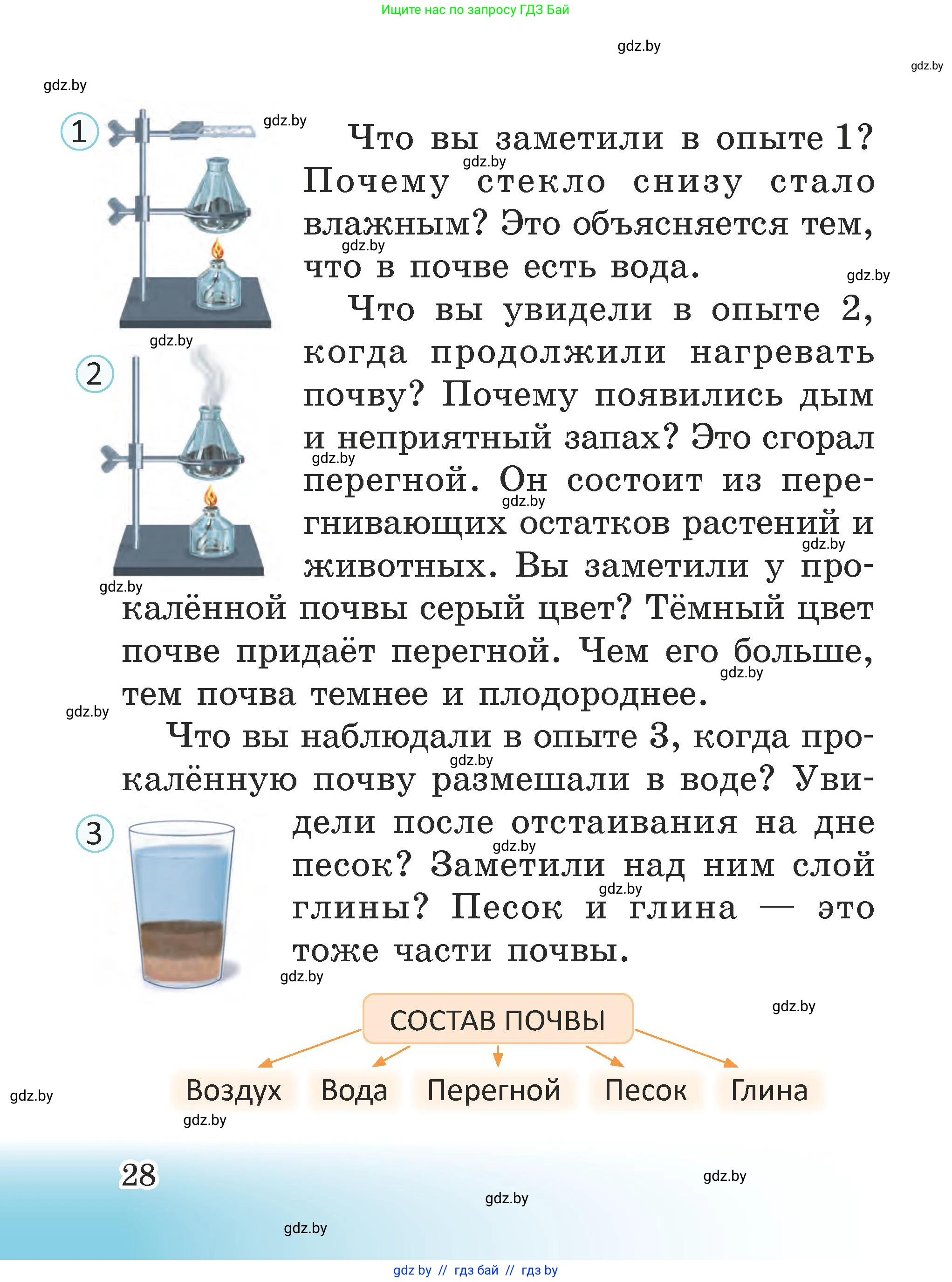 Человек и мир, 2 класс Учебник, авторы: Трафимова Галина Владимировна, Трафимов Сергей Анатольевич, издательство Академия образования, Минск, 2024, страница 28