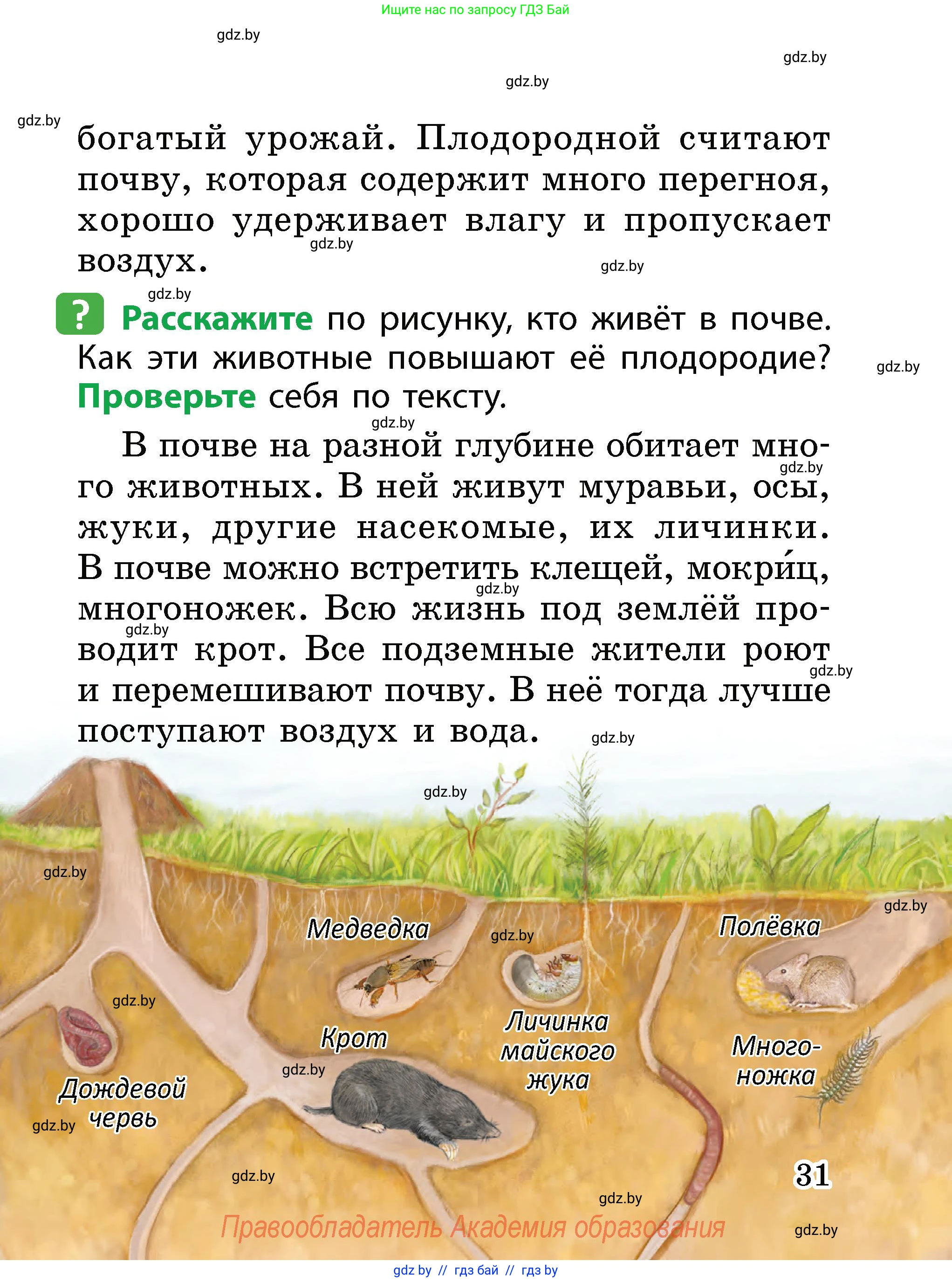 Человек и мир, 2 класс Учебник, авторы: Трафимова Галина Владимировна, Трафимов Сергей Анатольевич, издательство Академия образования, Минск, 2024, страница 31