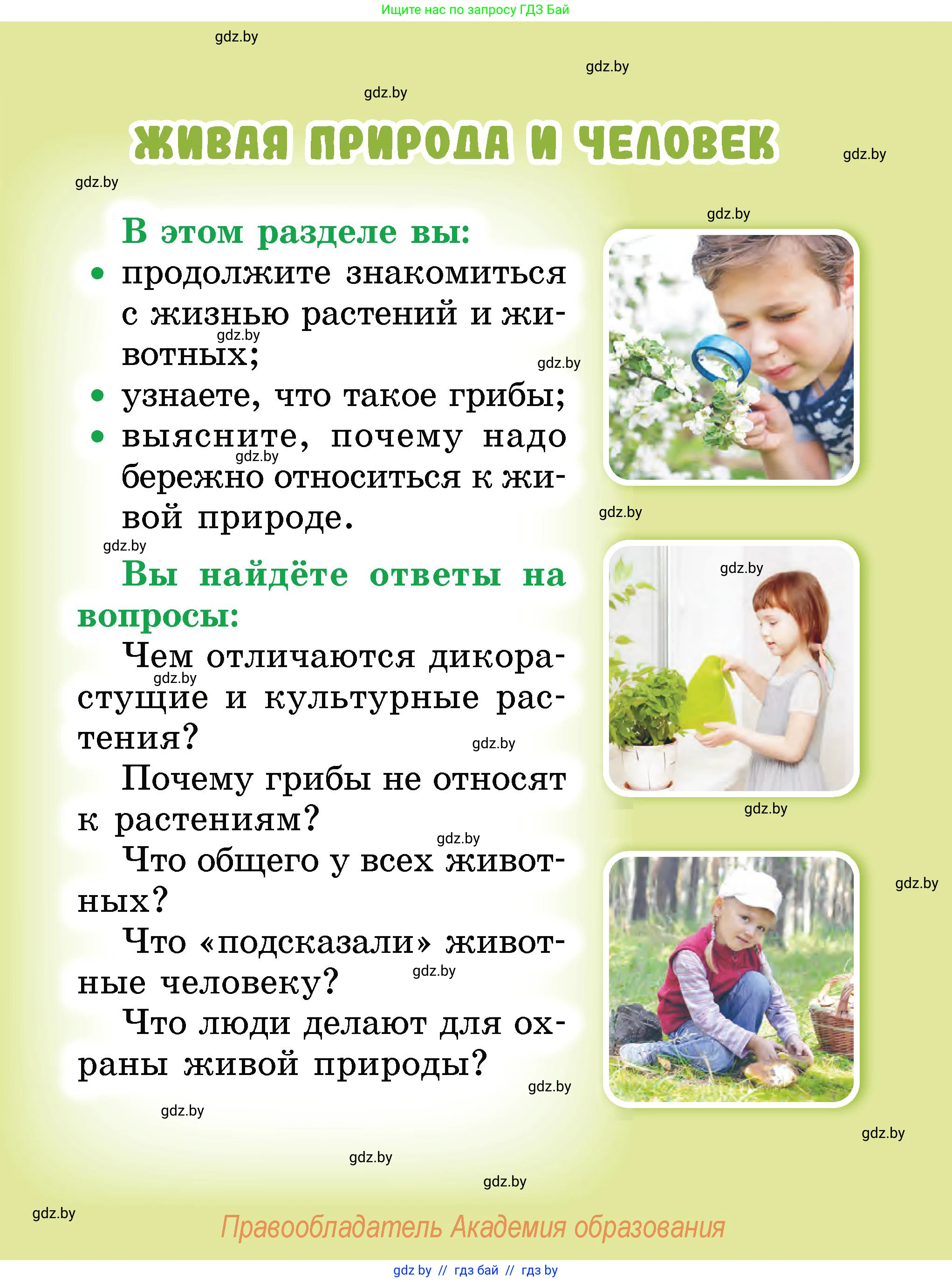 Человек и мир, 2 класс Учебник, авторы: Трафимова Галина Владимировна, Трафимов Сергей Анатольевич, издательство Академия образования, Минск, 2024, страница 35