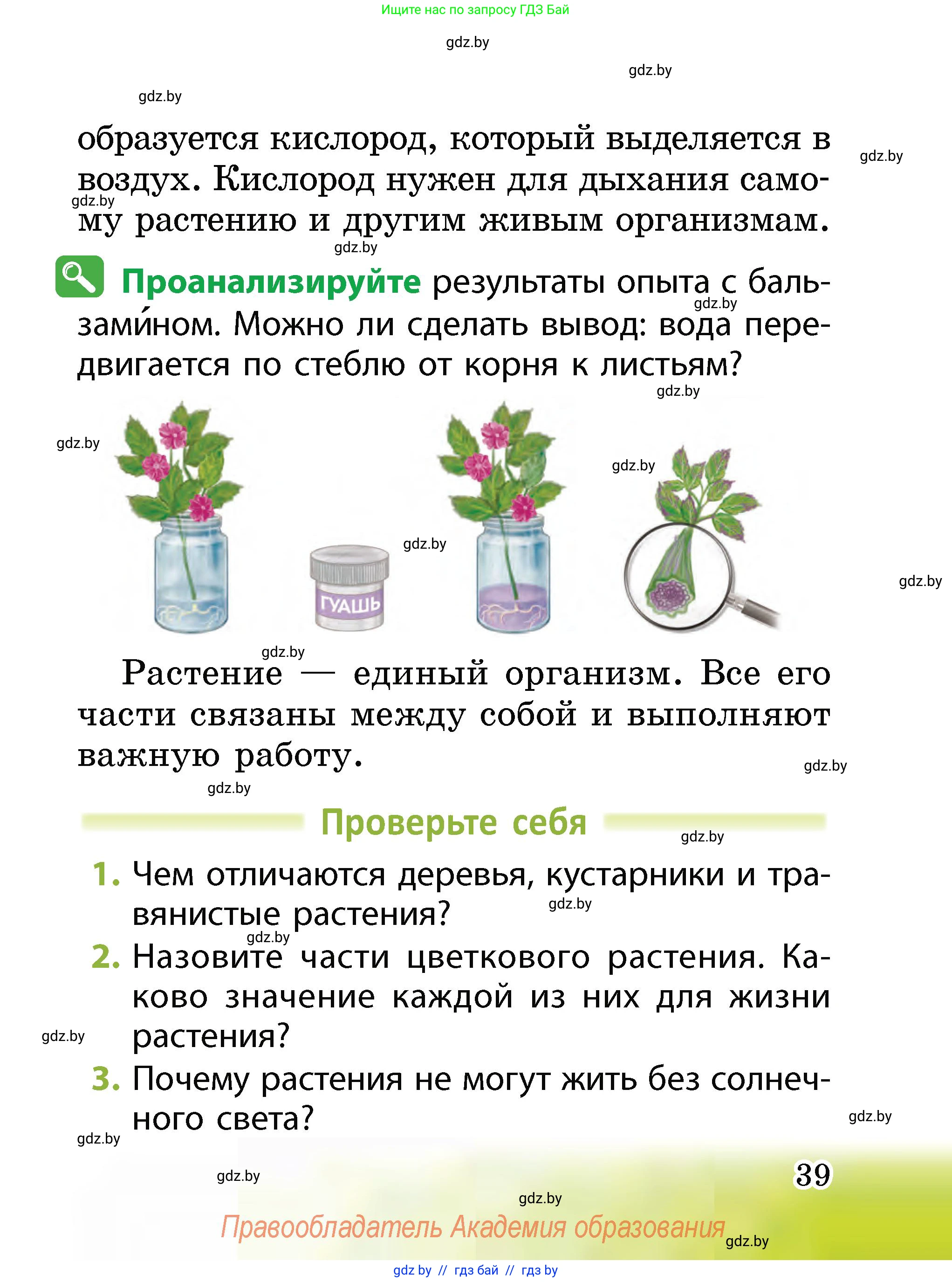 Человек и мир, 2 класс Учебник, авторы: Трафимова Галина Владимировна, Трафимов Сергей Анатольевич, издательство Академия образования, Минск, 2024, страница 39