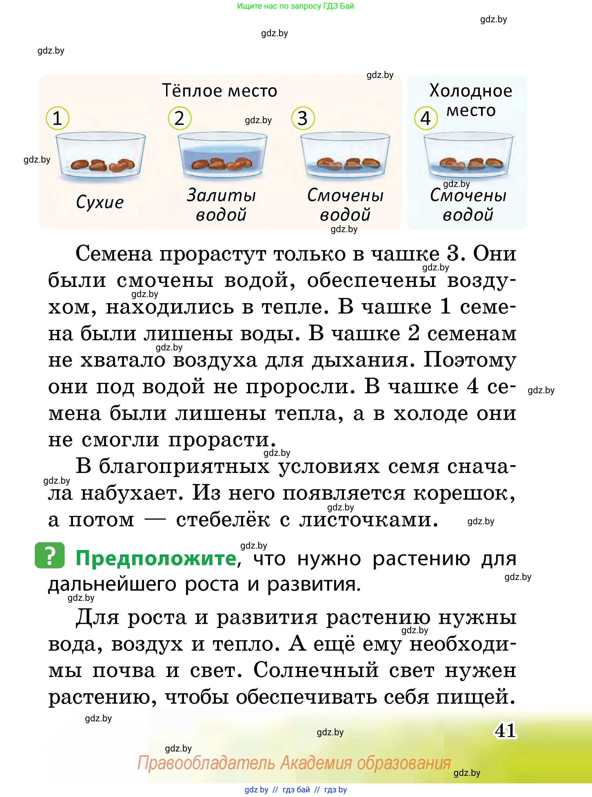 Человек и мир, 2 класс Учебник, авторы: Трафимова Галина Владимировна, Трафимов Сергей Анатольевич, издательство Академия образования, Минск, 2024, страница 41