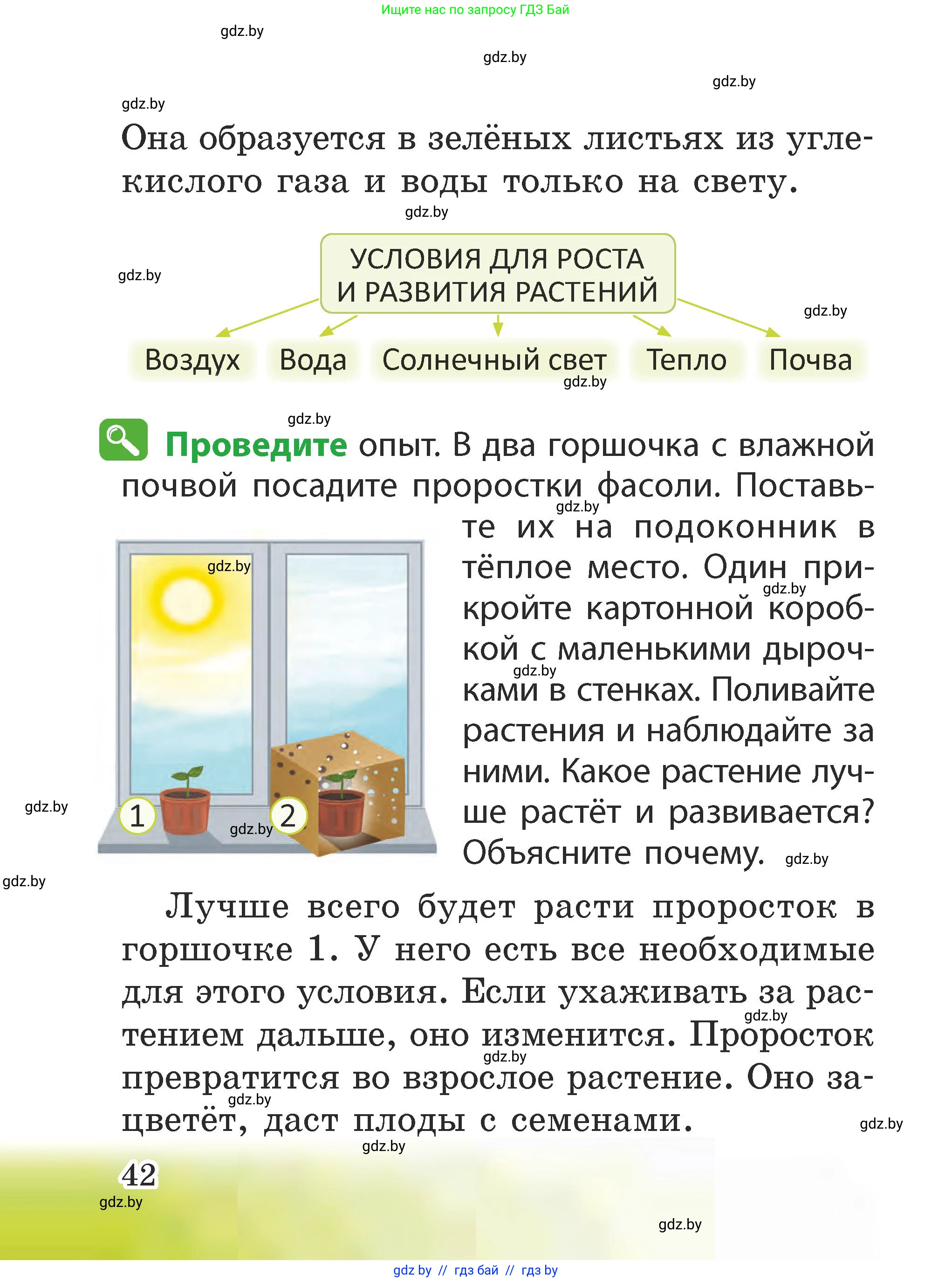 Человек и мир, 2 класс Учебник, авторы: Трафимова Галина Владимировна, Трафимов Сергей Анатольевич, издательство Академия образования, Минск, 2024, страница 42