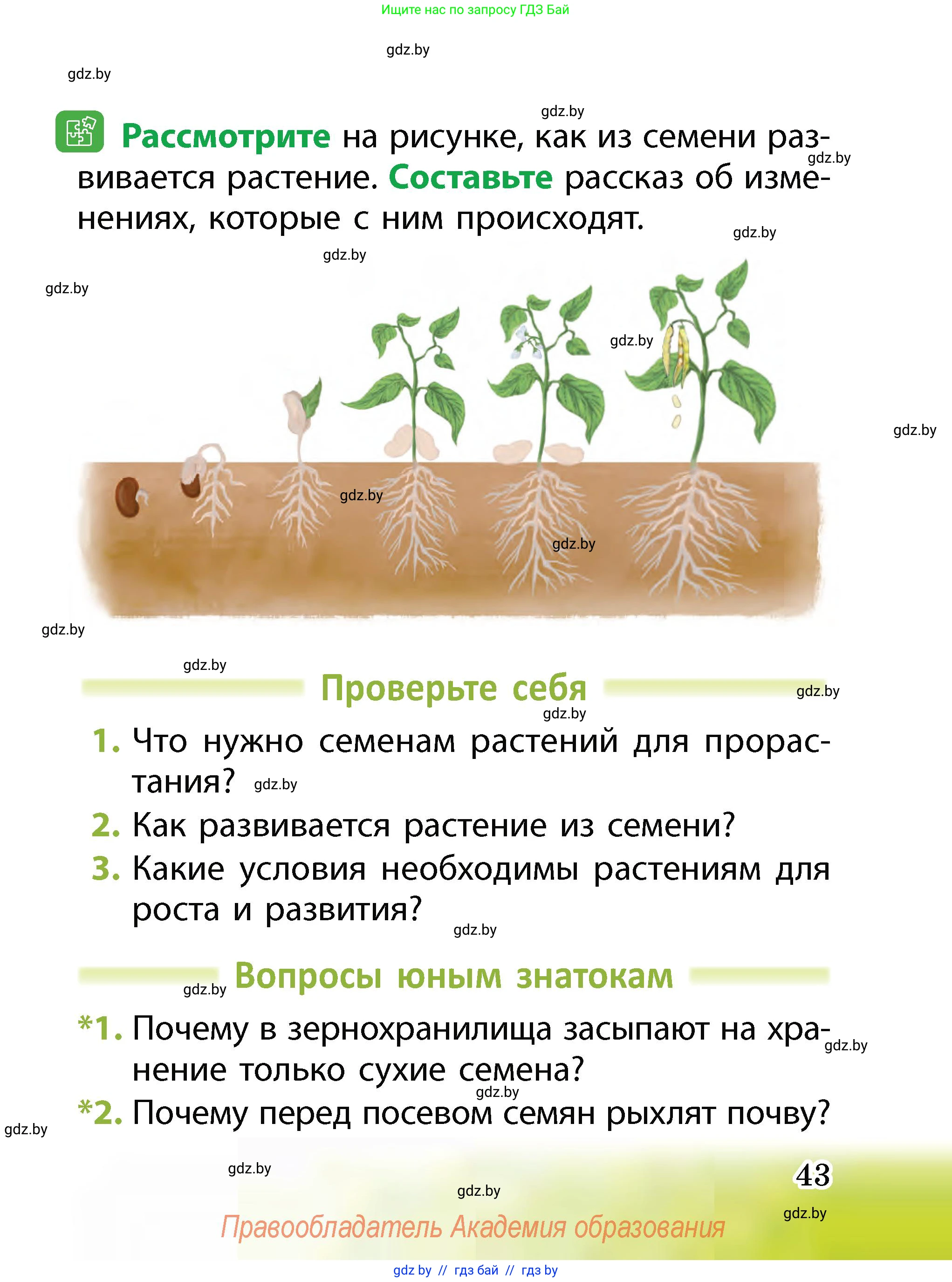 Человек и мир, 2 класс Учебник, авторы: Трафимова Галина Владимировна, Трафимов Сергей Анатольевич, издательство Академия образования, Минск, 2024, страница 43