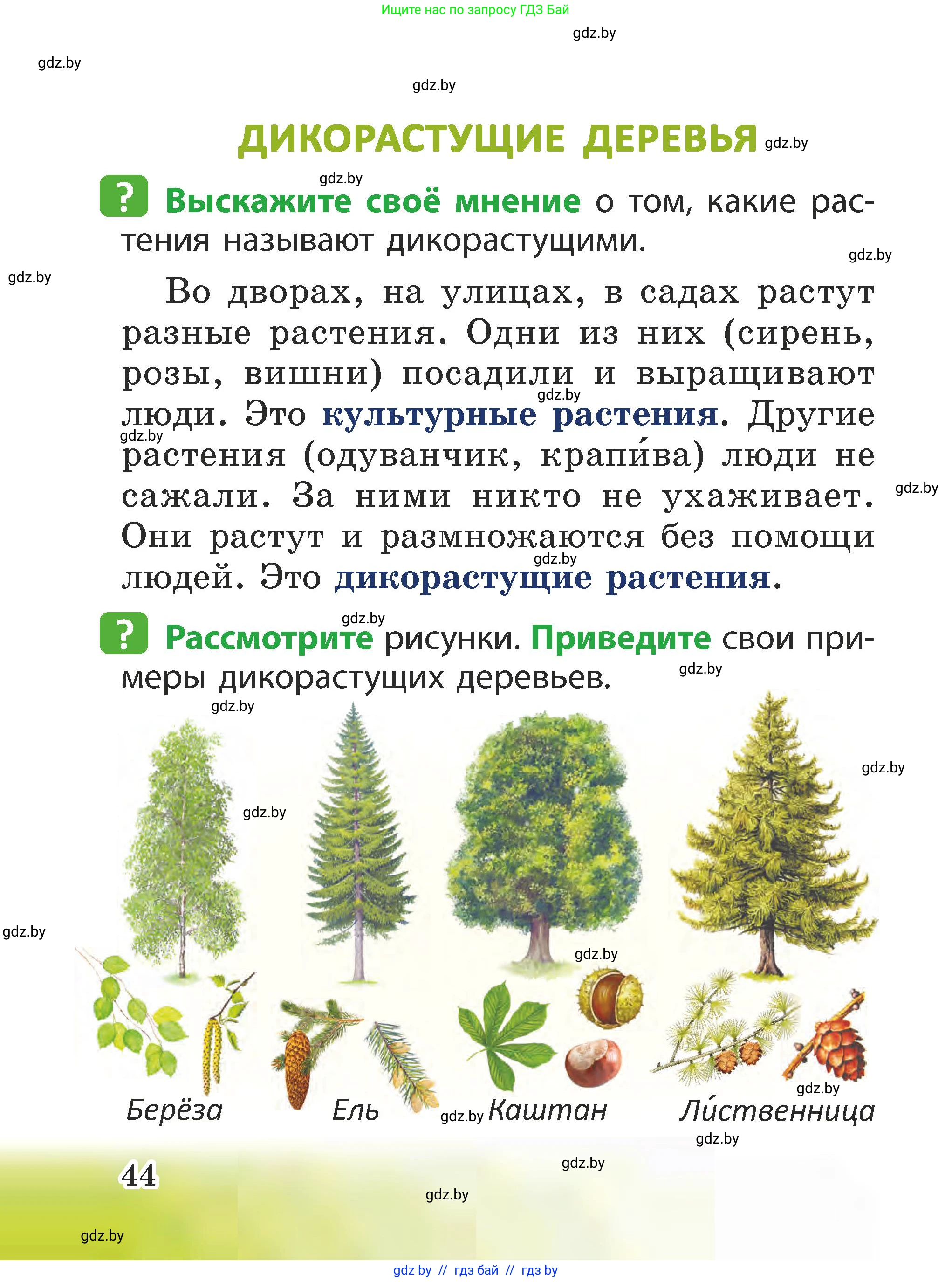 Человек и мир, 2 класс Учебник, авторы: Трафимова Галина Владимировна, Трафимов Сергей Анатольевич, издательство Академия образования, Минск, 2024, страница 44