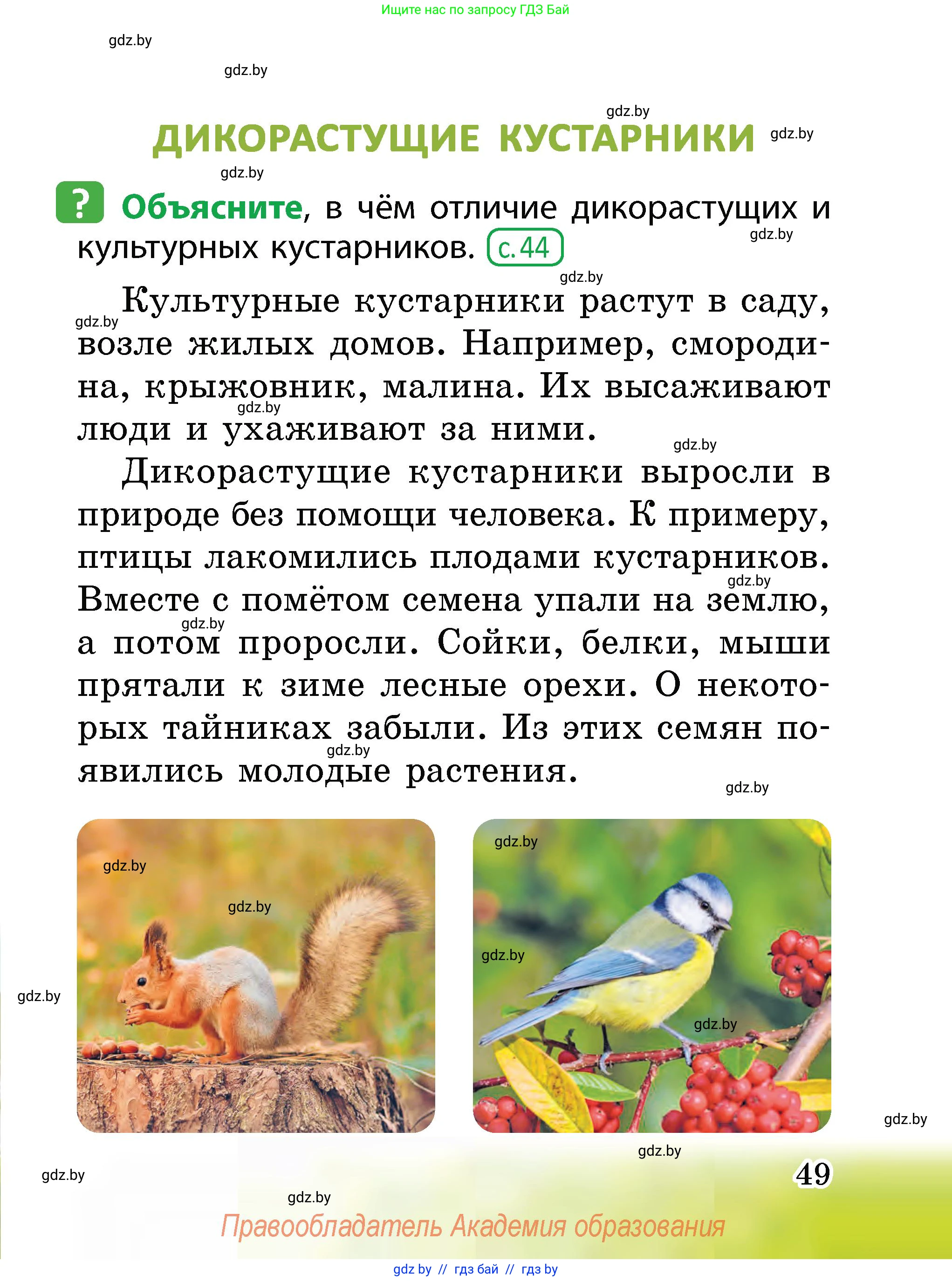 Человек и мир, 2 класс Учебник, авторы: Трафимова Галина Владимировна, Трафимов Сергей Анатольевич, издательство Академия образования, Минск, 2024, страница 49