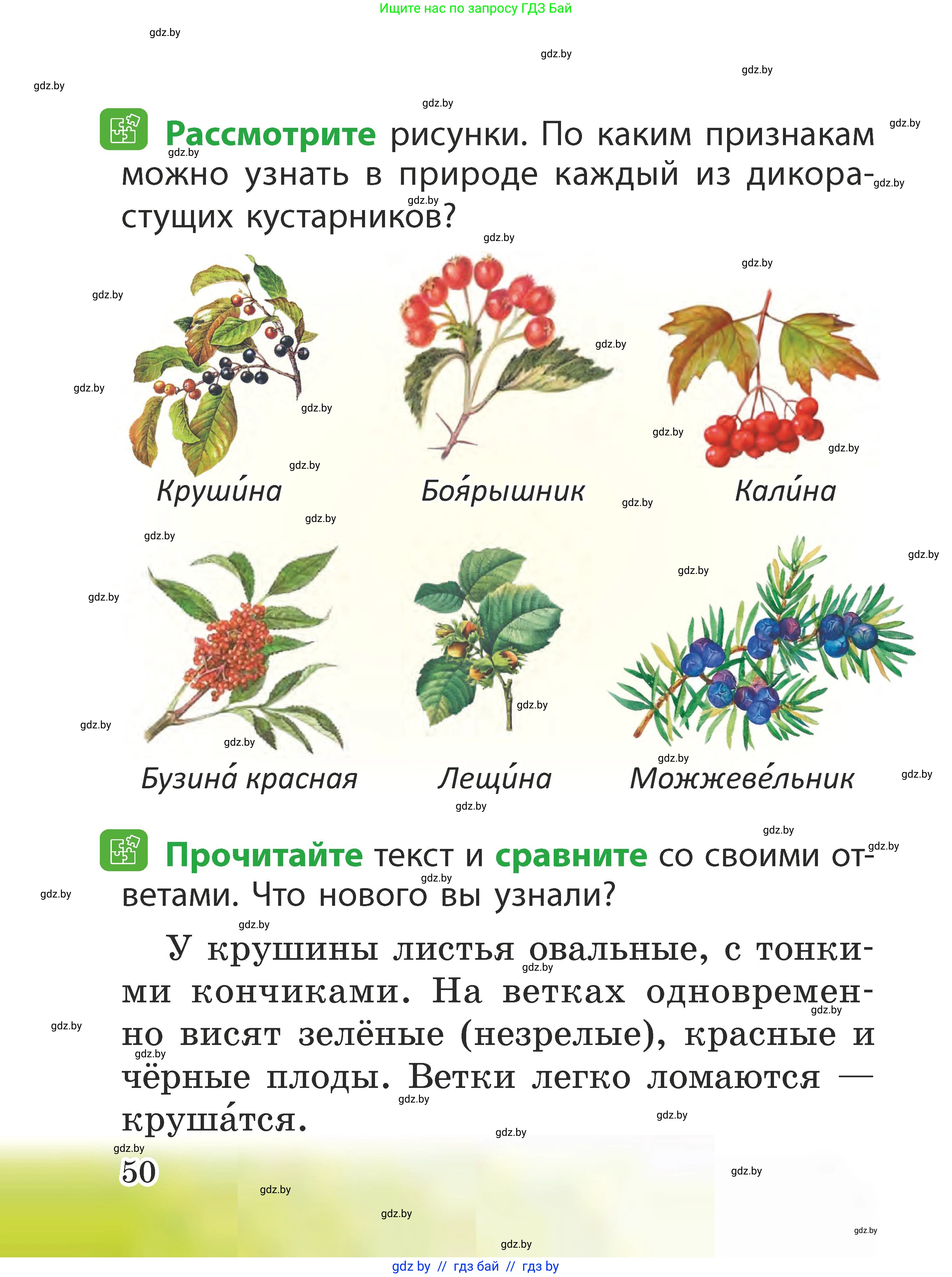 Человек и мир, 2 класс Учебник, авторы: Трафимова Галина Владимировна, Трафимов Сергей Анатольевич, издательство Академия образования, Минск, 2024, страница 50