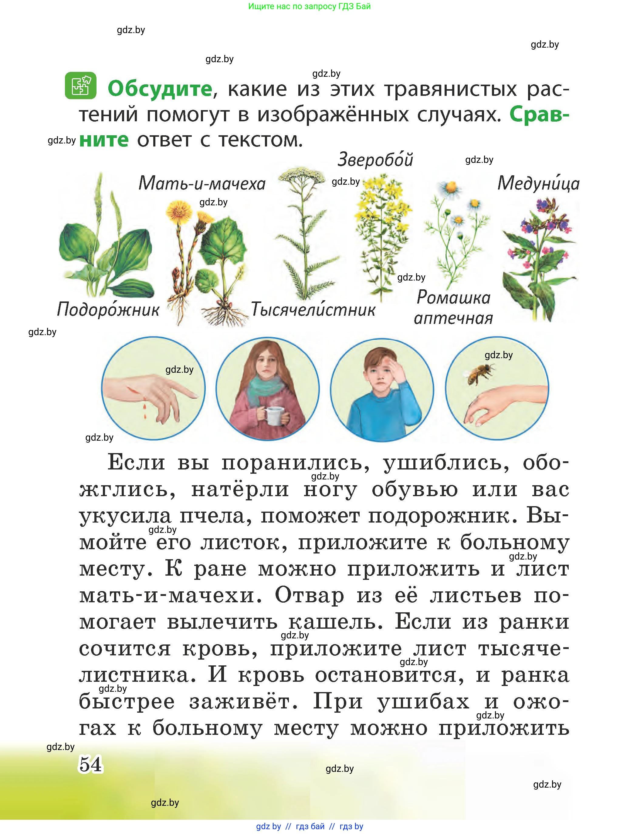 Человек и мир, 2 класс Учебник, авторы: Трафимова Галина Владимировна, Трафимов Сергей Анатольевич, издательство Академия образования, Минск, 2024, страница 54