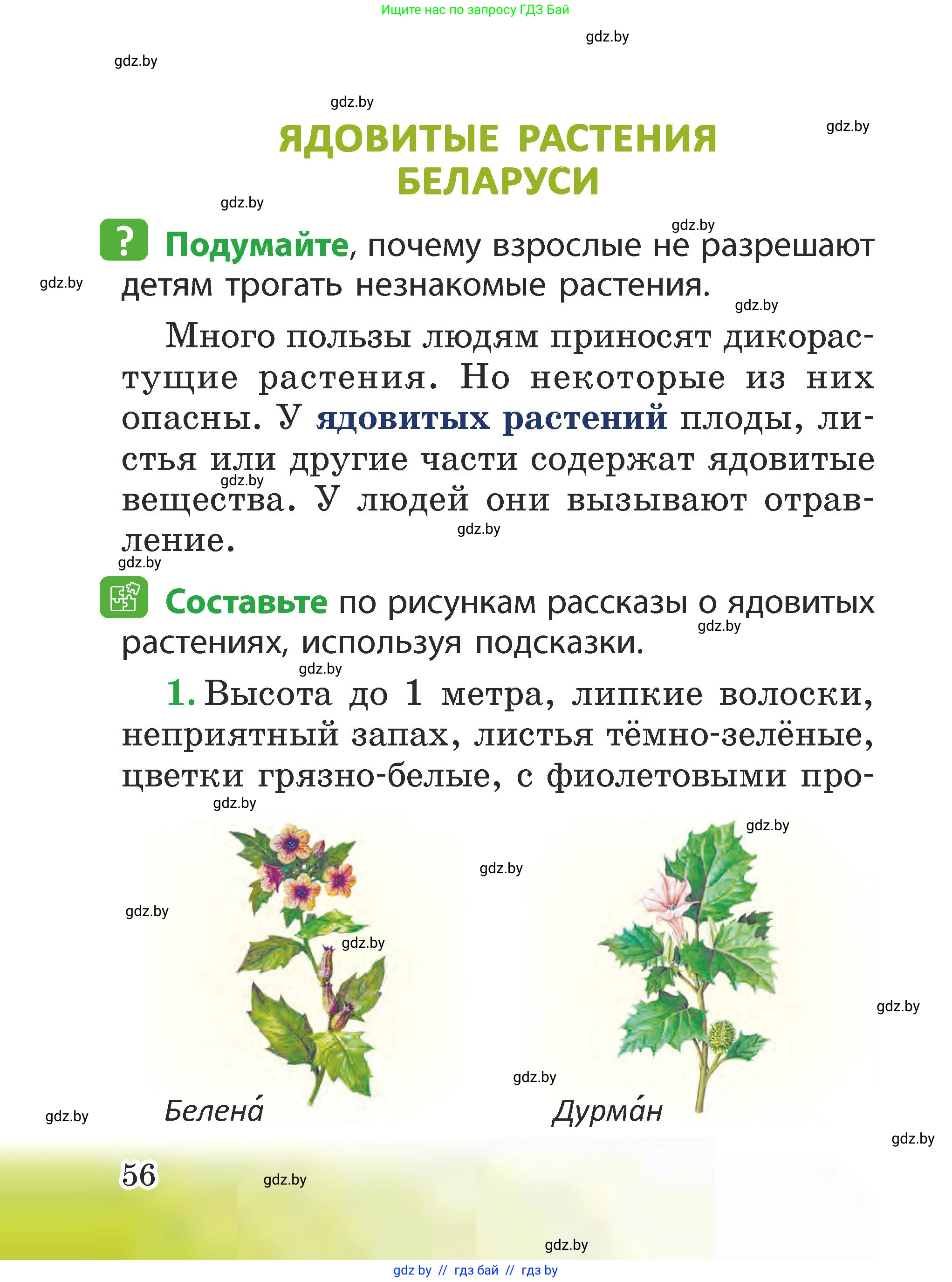 Человек и мир, 2 класс Учебник, авторы: Трафимова Галина Владимировна, Трафимов Сергей Анатольевич, издательство Академия образования, Минск, 2024, страница 56