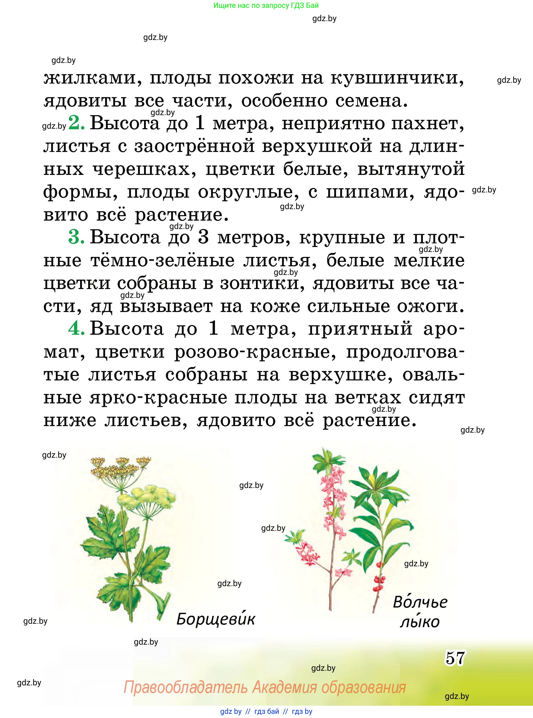 Человек и мир, 2 класс Учебник, авторы: Трафимова Галина Владимировна, Трафимов Сергей Анатольевич, издательство Академия образования, Минск, 2024, страница 57