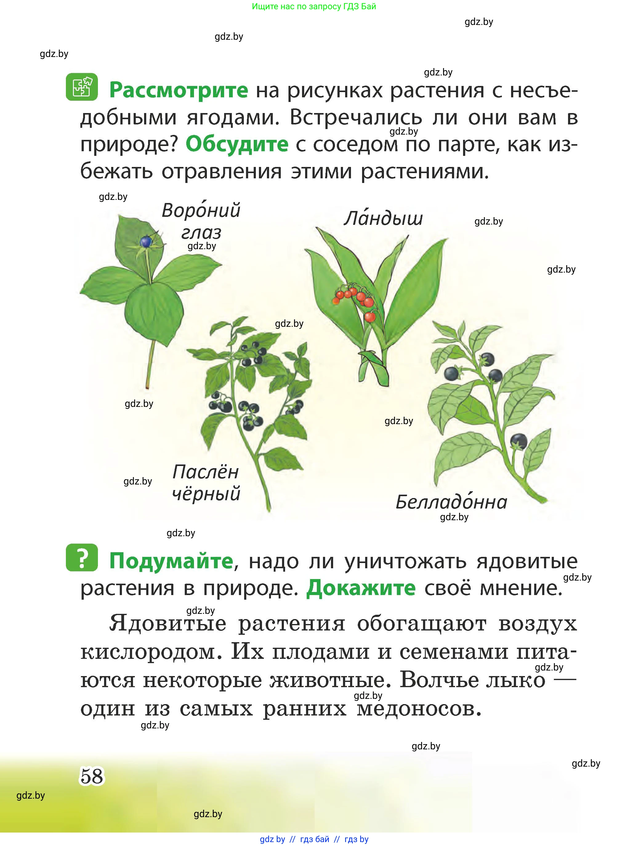 Человек и мир, 2 класс Учебник, авторы: Трафимова Галина Владимировна, Трафимов Сергей Анатольевич, издательство Академия образования, Минск, 2024, страница 58