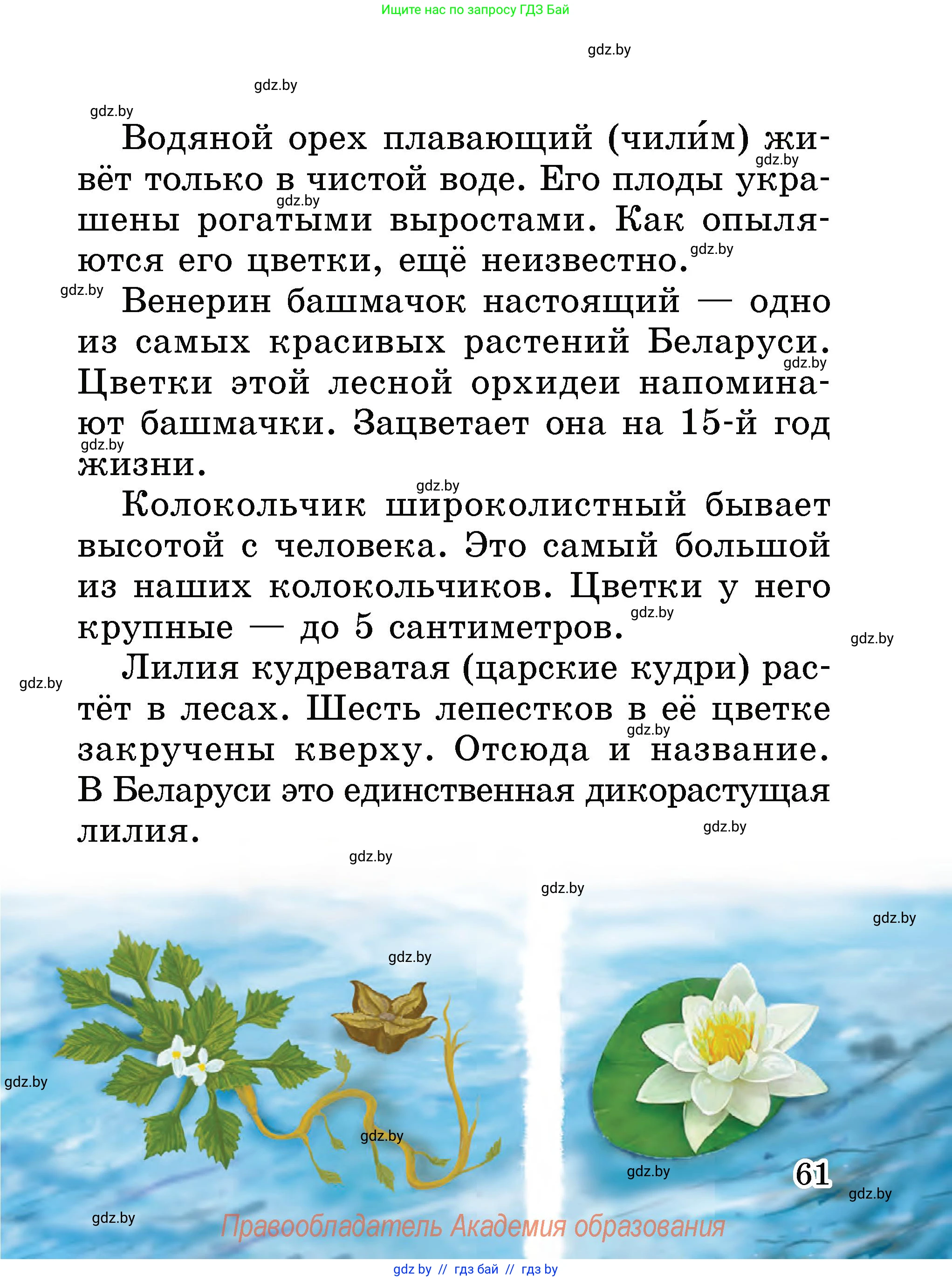 Человек и мир, 2 класс Учебник, авторы: Трафимова Галина Владимировна, Трафимов Сергей Анатольевич, издательство Академия образования, Минск, 2024, страница 61