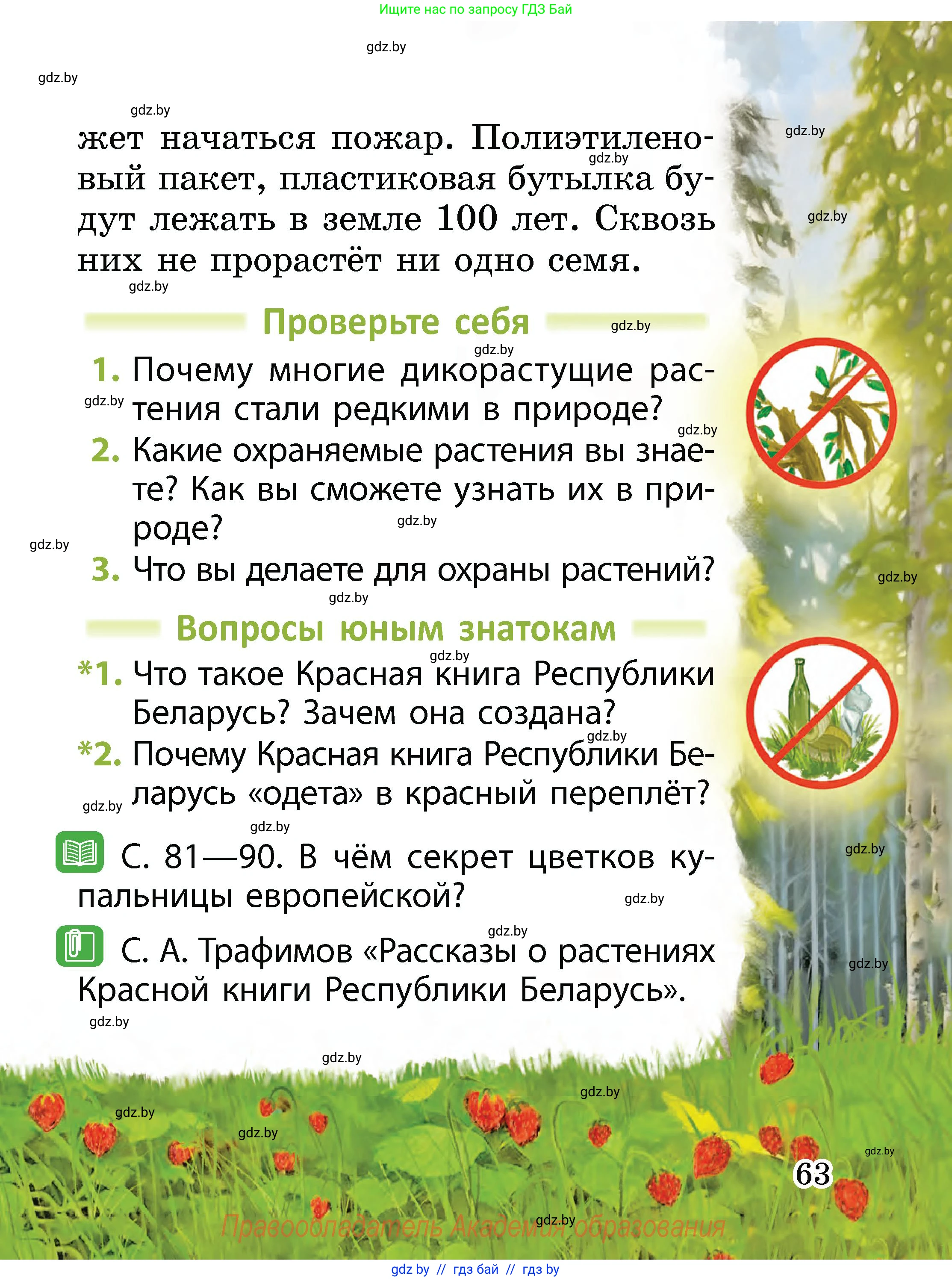 Человек и мир, 2 класс Учебник, авторы: Трафимова Галина Владимировна, Трафимов Сергей Анатольевич, издательство Академия образования, Минск, 2024, страница 63