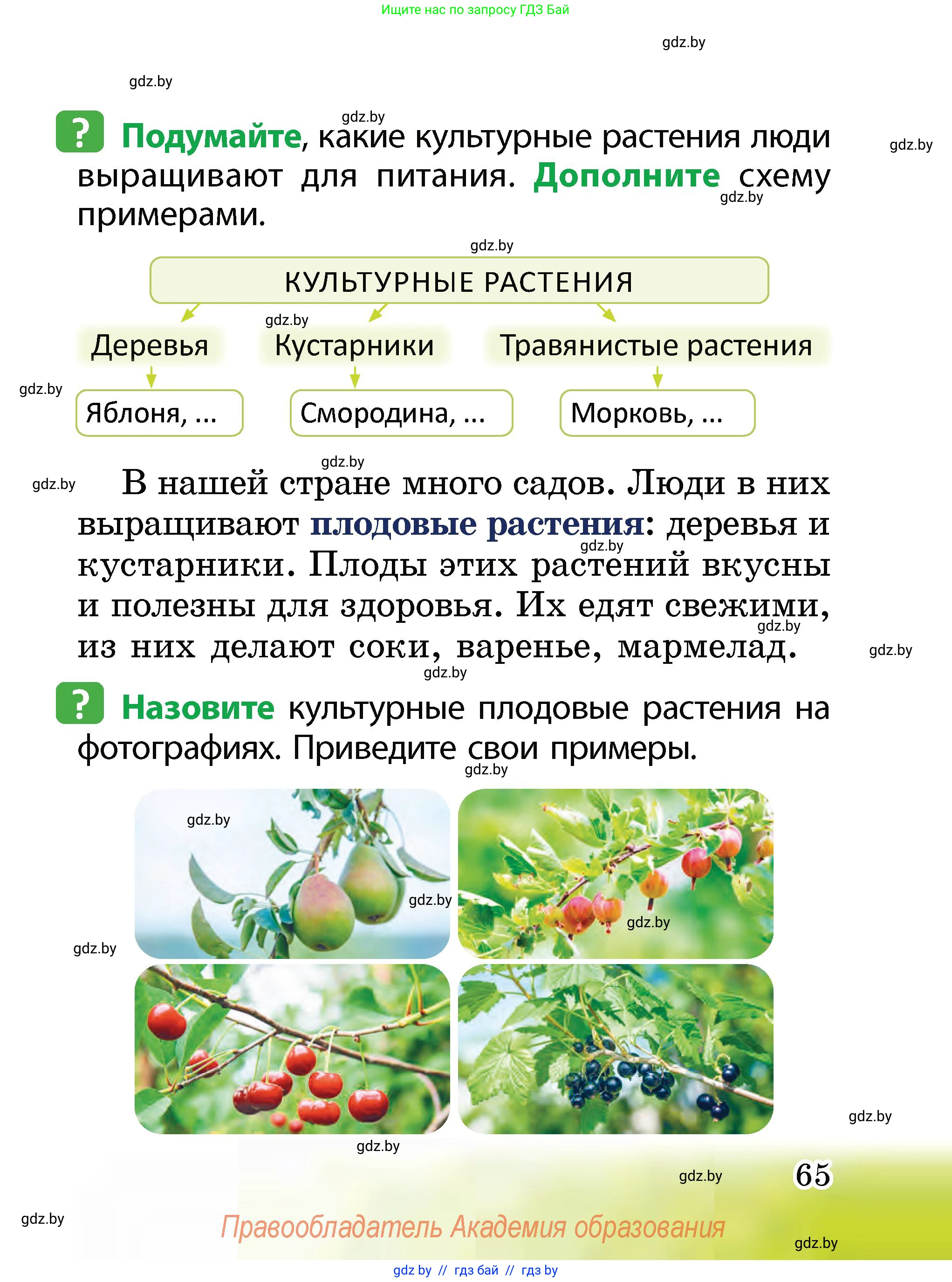 Человек и мир, 2 класс Учебник, авторы: Трафимова Галина Владимировна, Трафимов Сергей Анатольевич, издательство Академия образования, Минск, 2024, страница 65