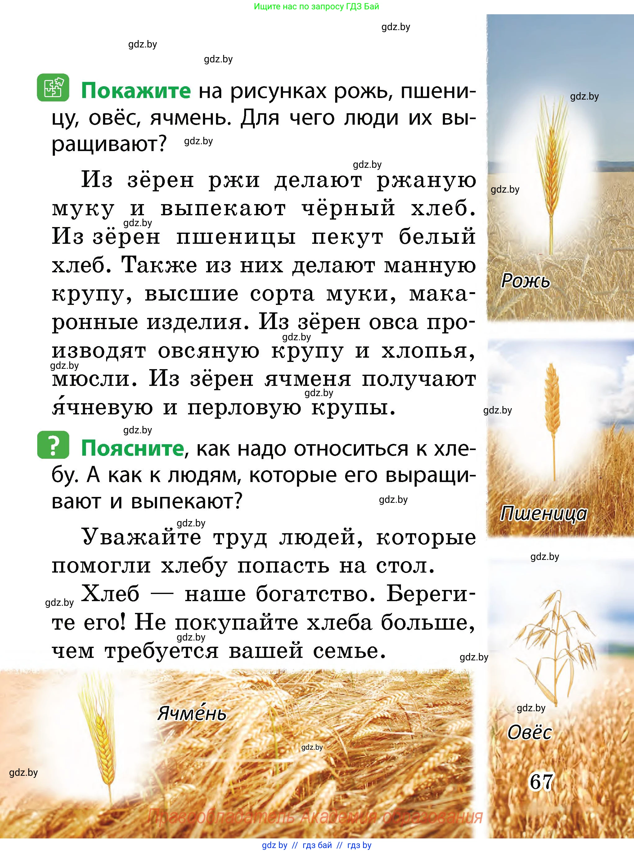 Человек и мир, 2 класс Учебник, авторы: Трафимова Галина Владимировна, Трафимов Сергей Анатольевич, издательство Академия образования, Минск, 2024, страница 67