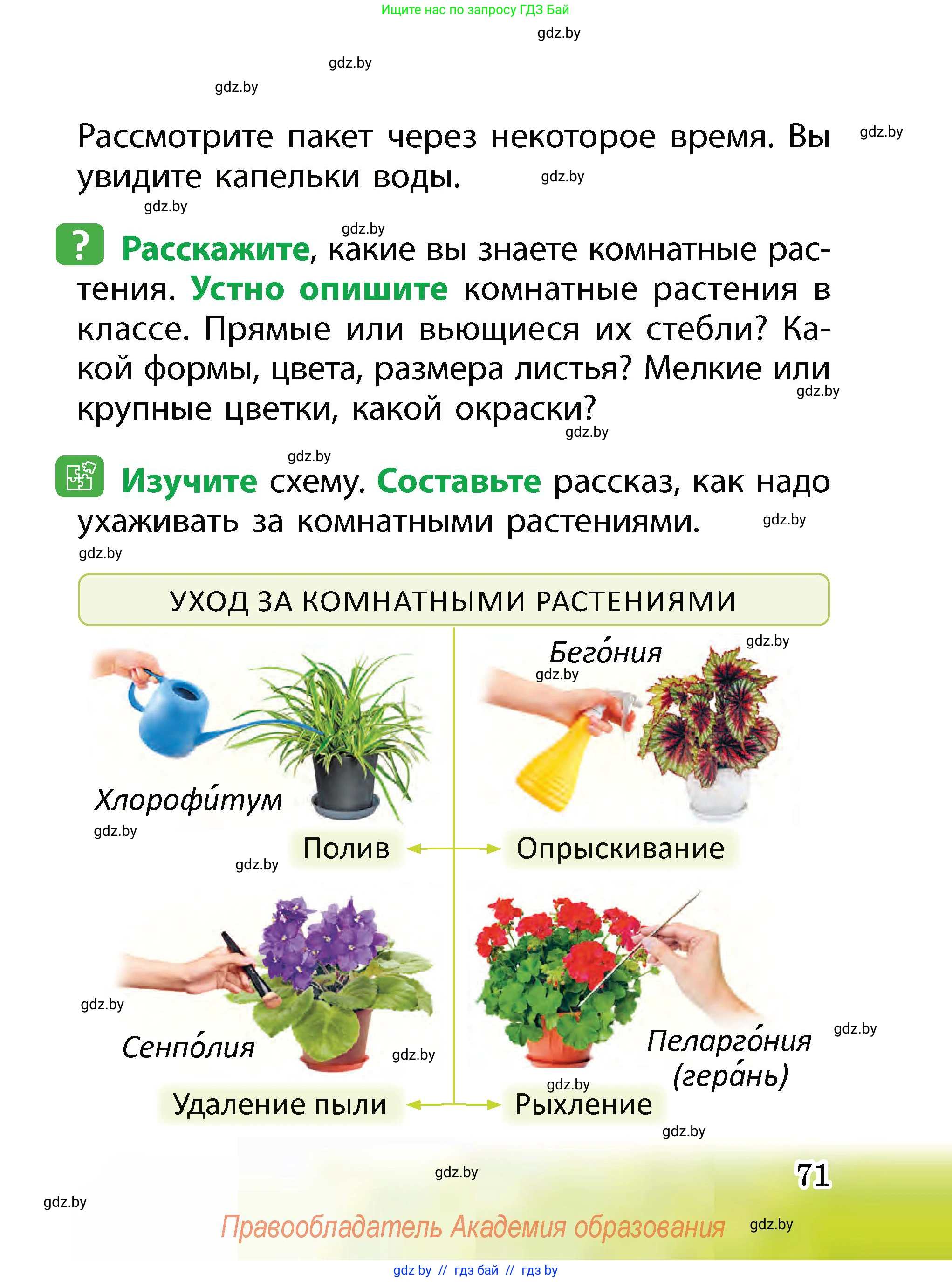 Человек и мир, 2 класс Учебник, авторы: Трафимова Галина Владимировна, Трафимов Сергей Анатольевич, издательство Академия образования, Минск, 2024, страница 71