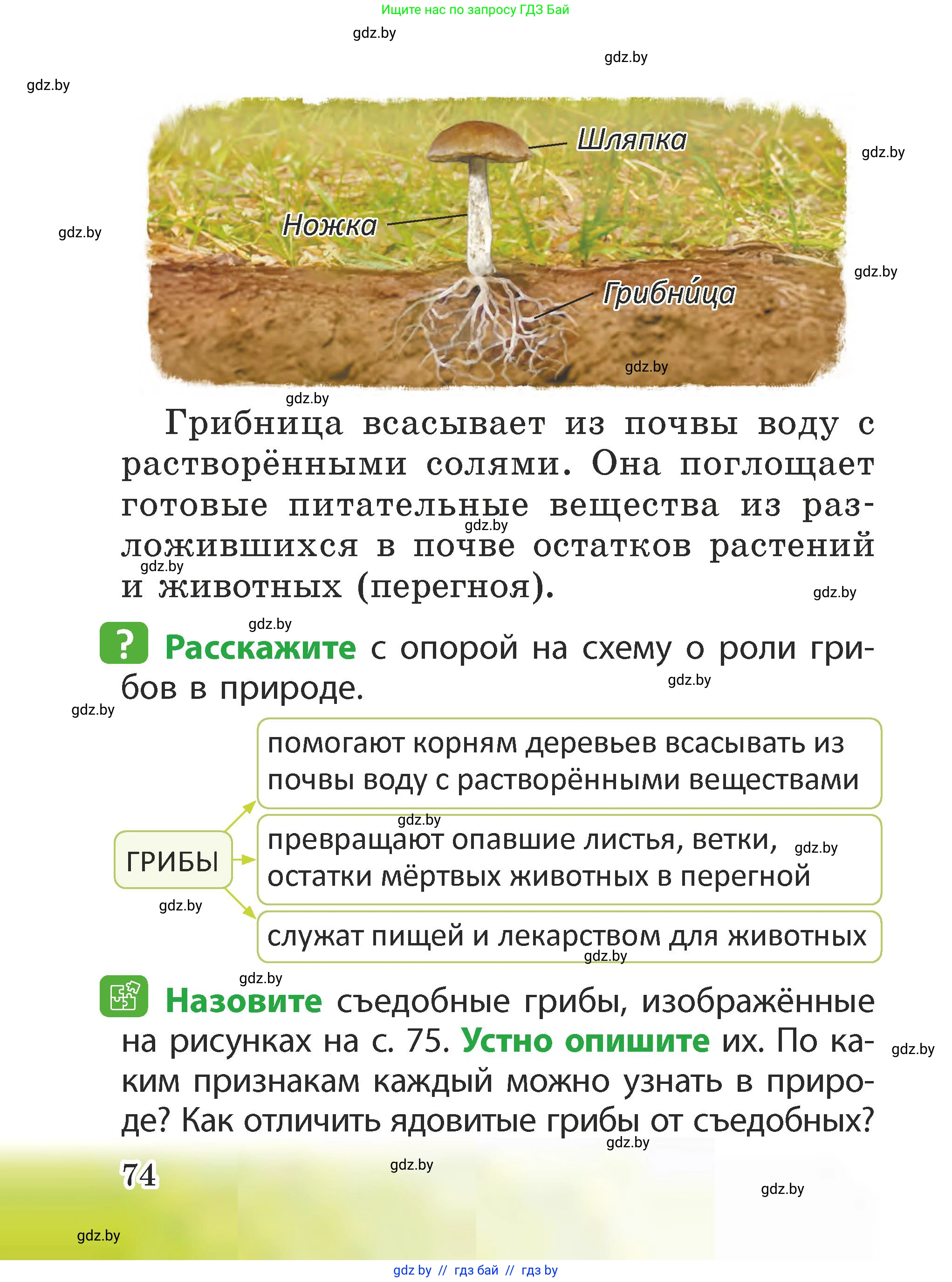 Человек и мир, 2 класс Учебник, авторы: Трафимова Галина Владимировна, Трафимов Сергей Анатольевич, издательство Академия образования, Минск, 2024, страница 74