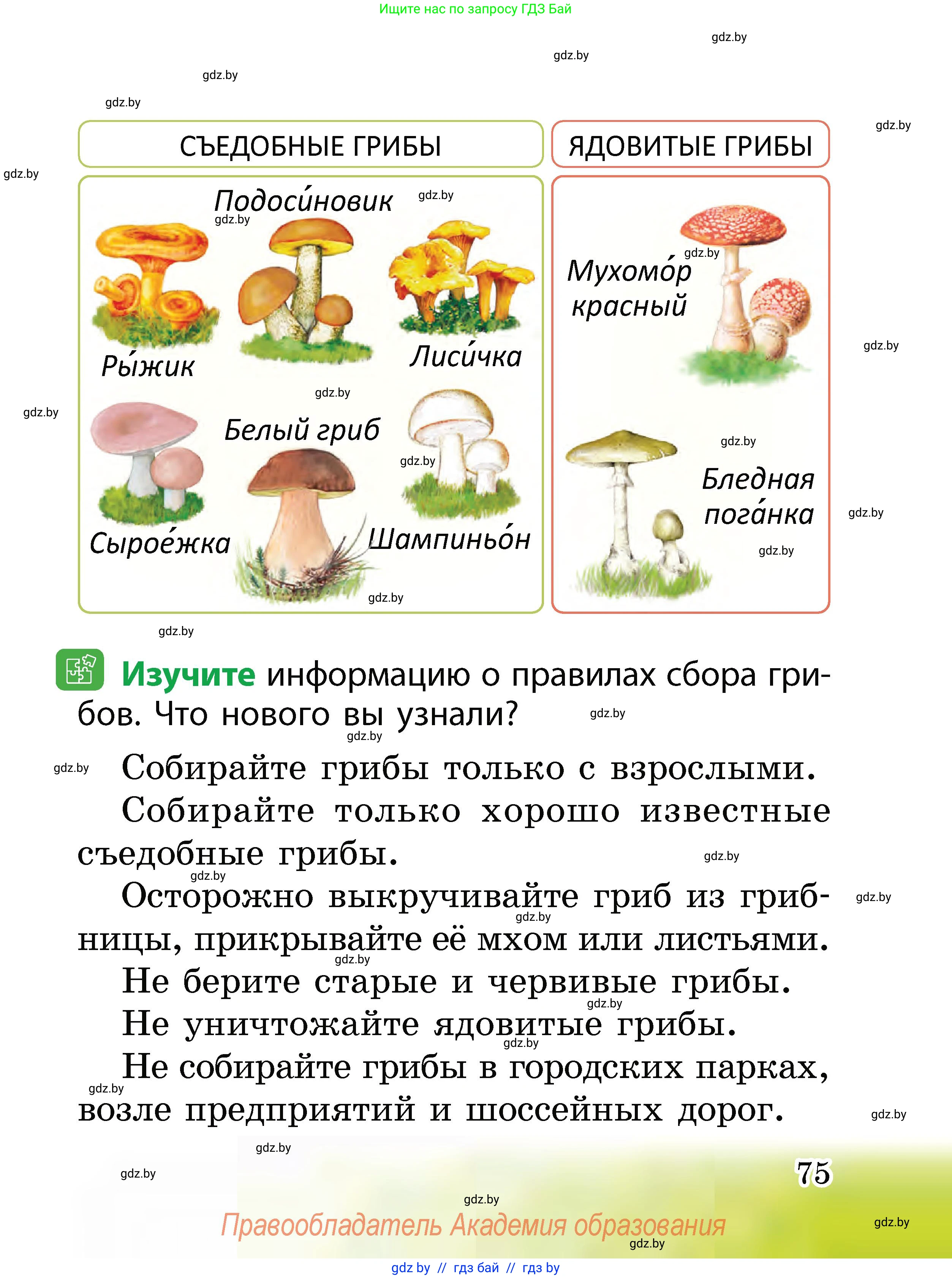 Человек и мир, 2 класс Учебник, авторы: Трафимова Галина Владимировна, Трафимов Сергей Анатольевич, издательство Академия образования, Минск, 2024, страница 75