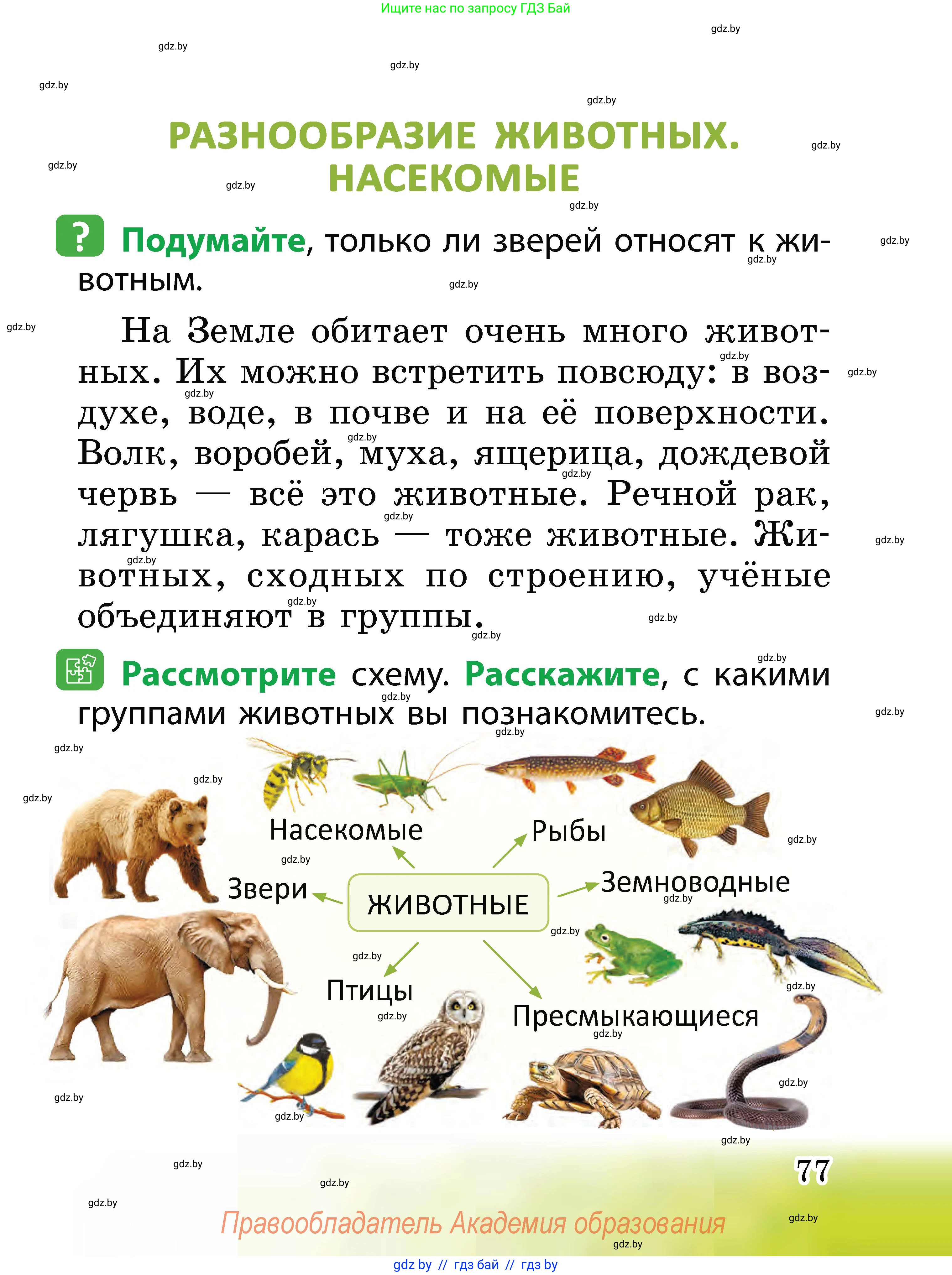 Человек и мир, 2 класс Учебник, авторы: Трафимова Галина Владимировна, Трафимов Сергей Анатольевич, издательство Академия образования, Минск, 2024, страница 77
