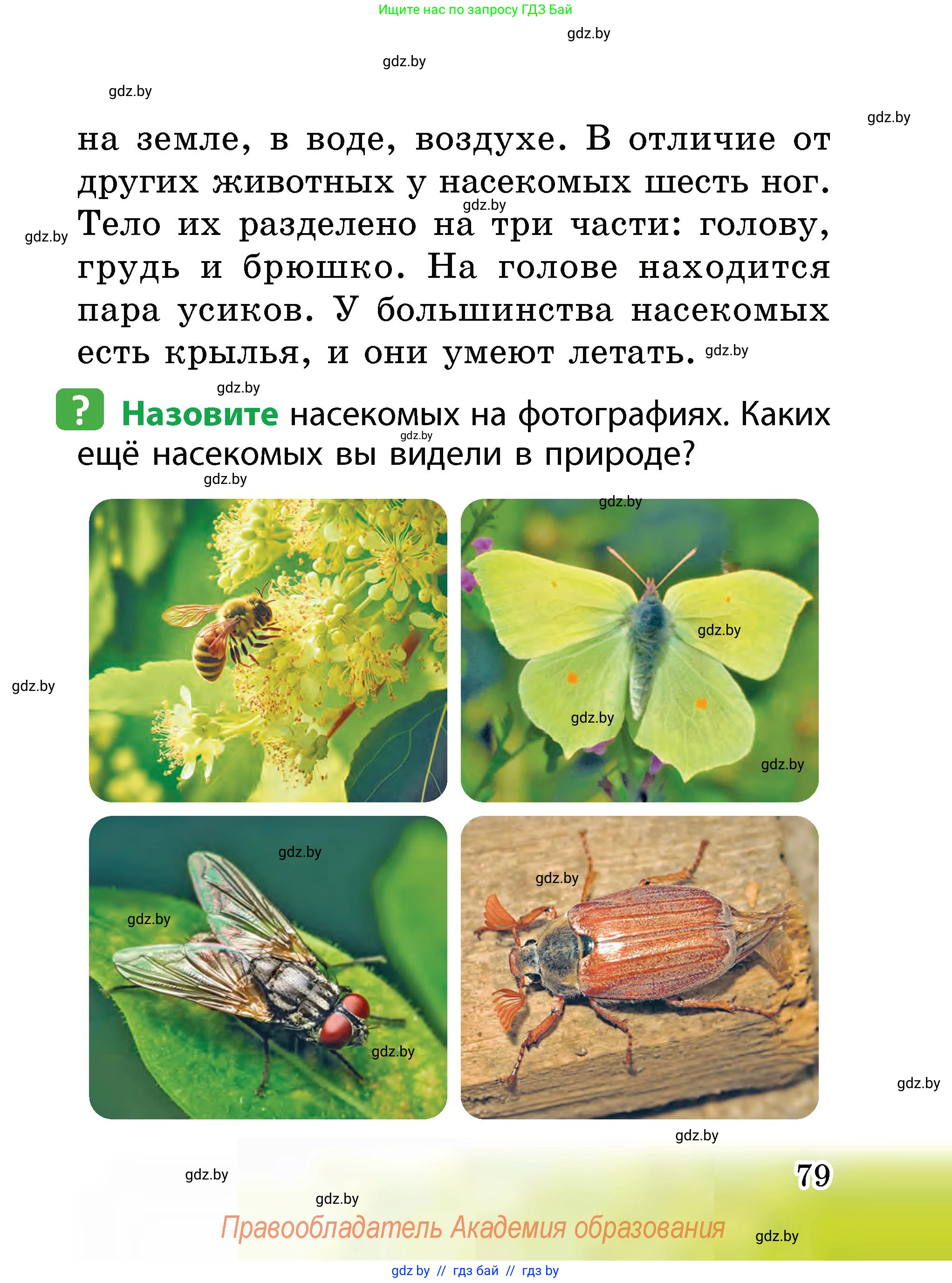 Человек и мир, 2 класс Учебник, авторы: Трафимова Галина Владимировна, Трафимов Сергей Анатольевич, издательство Академия образования, Минск, 2024, страница 79