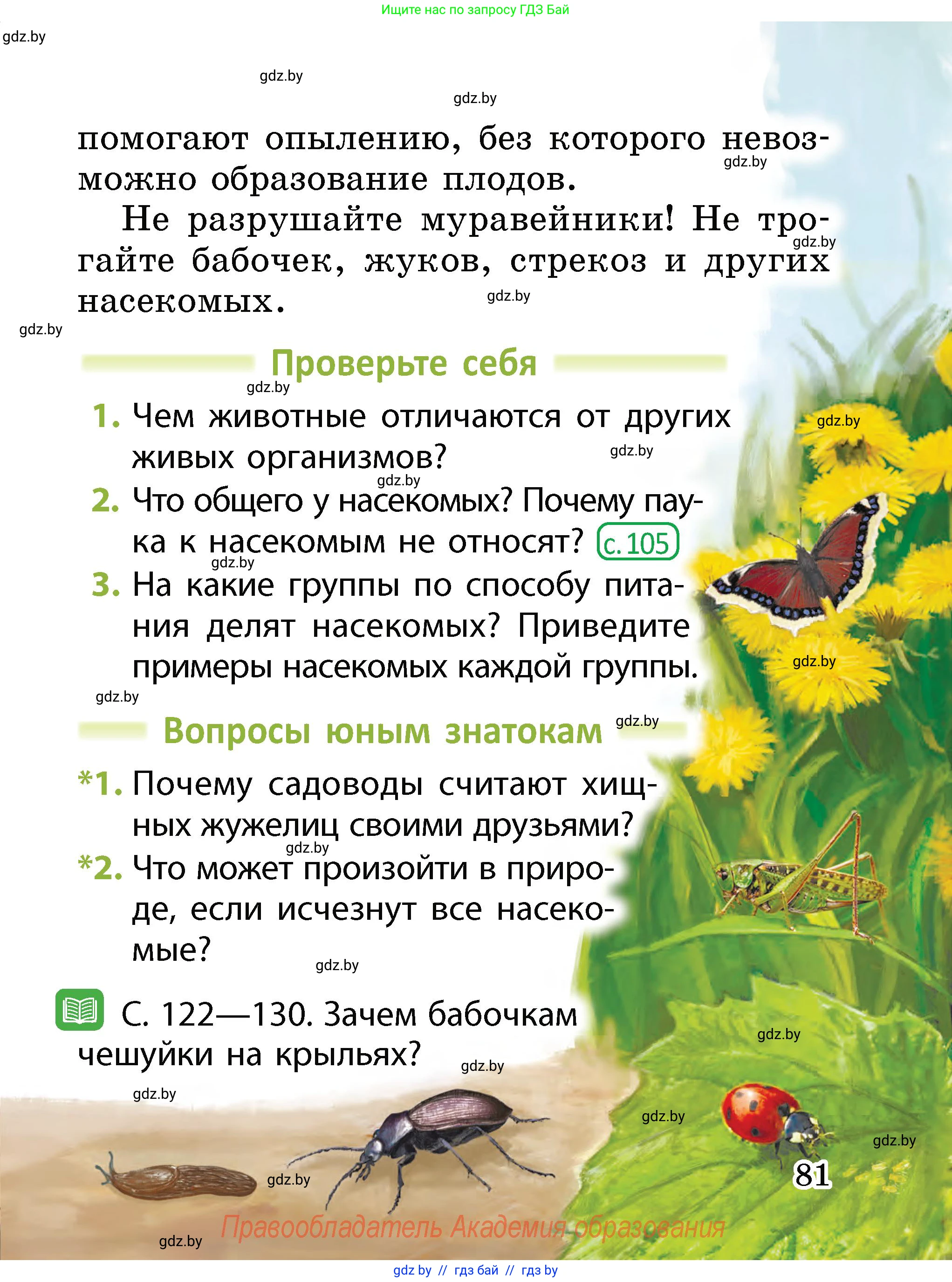 Человек и мир, 2 класс Учебник, авторы: Трафимова Галина Владимировна, Трафимов Сергей Анатольевич, издательство Академия образования, Минск, 2024, страница 81