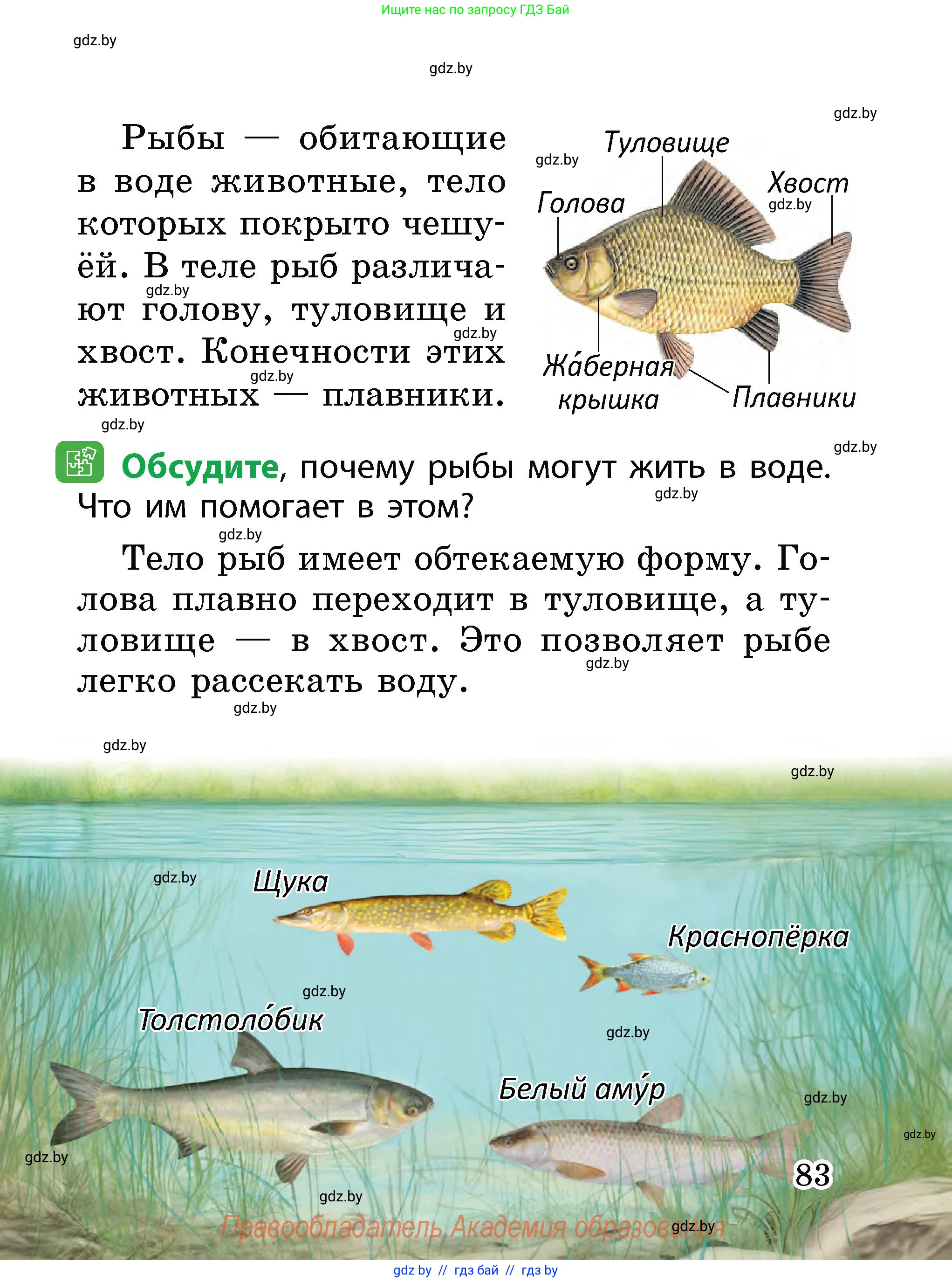 Человек и мир, 2 класс Учебник, авторы: Трафимова Галина Владимировна, Трафимов Сергей Анатольевич, издательство Академия образования, Минск, 2024, страница 83