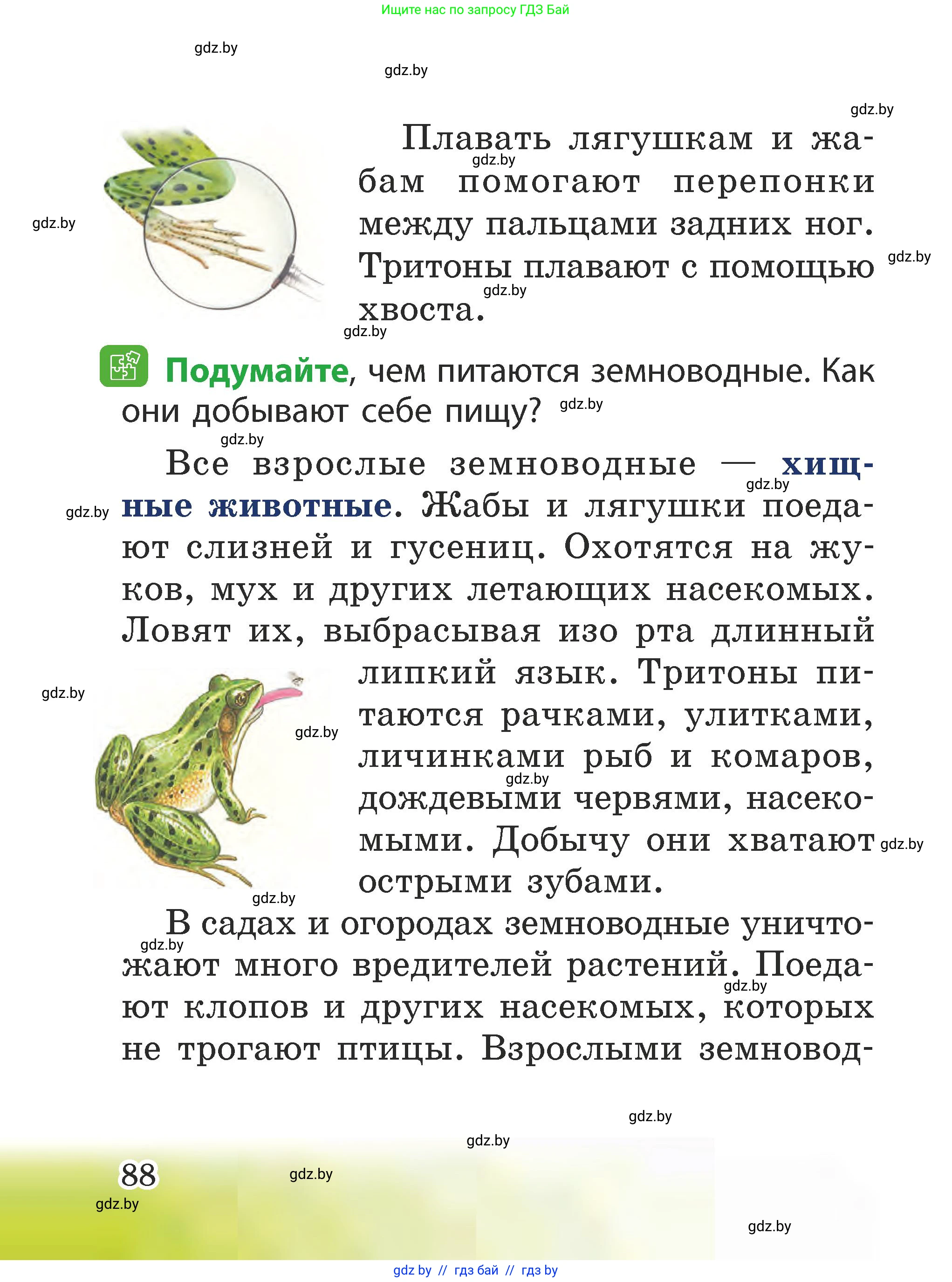 Человек и мир, 2 класс Учебник, авторы: Трафимова Галина Владимировна, Трафимов Сергей Анатольевич, издательство Академия образования, Минск, 2024, страница 88
