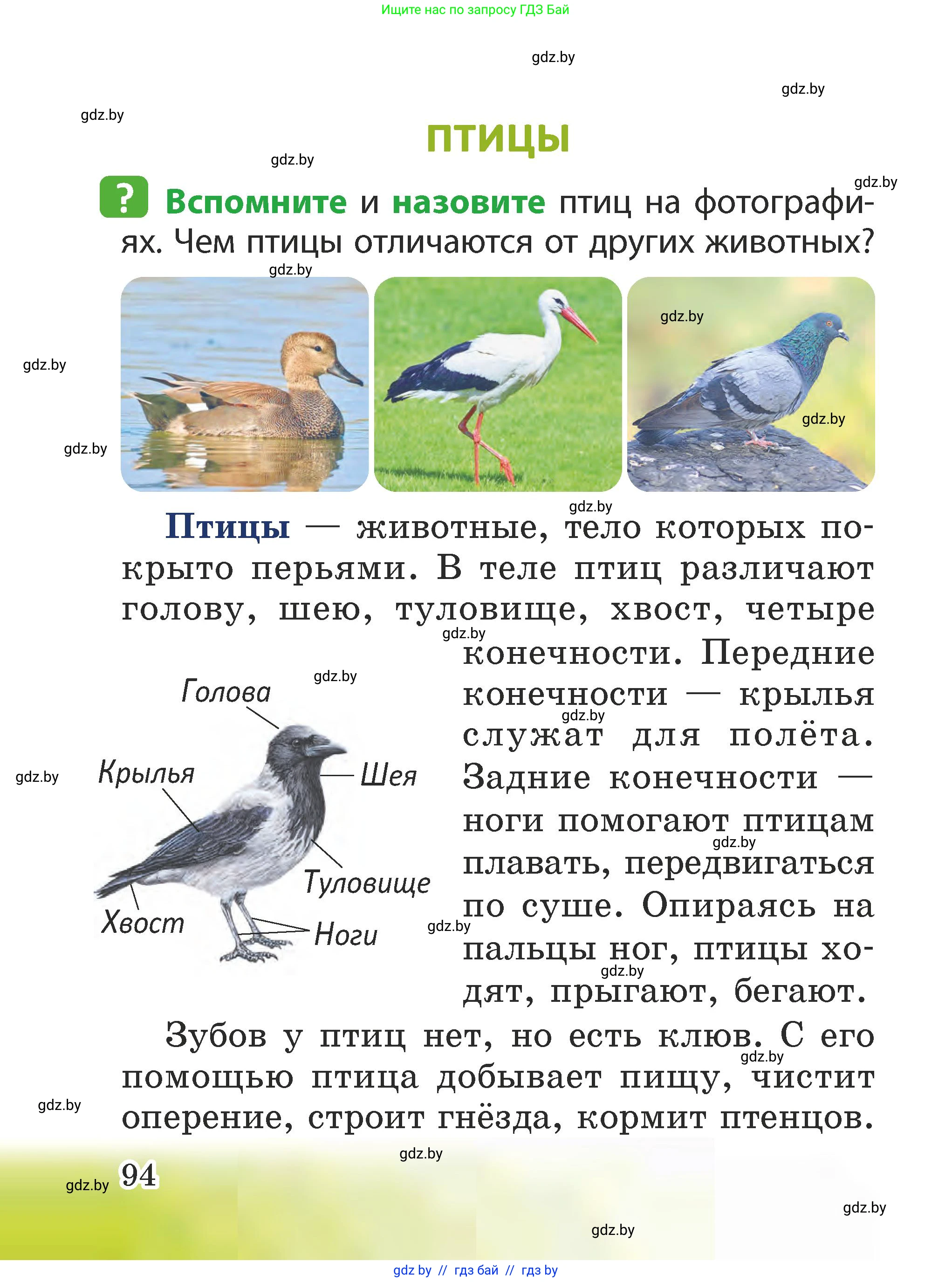 Человек и мир, 2 класс Учебник, авторы: Трафимова Галина Владимировна, Трафимов Сергей Анатольевич, издательство Академия образования, Минск, 2024, страница 94