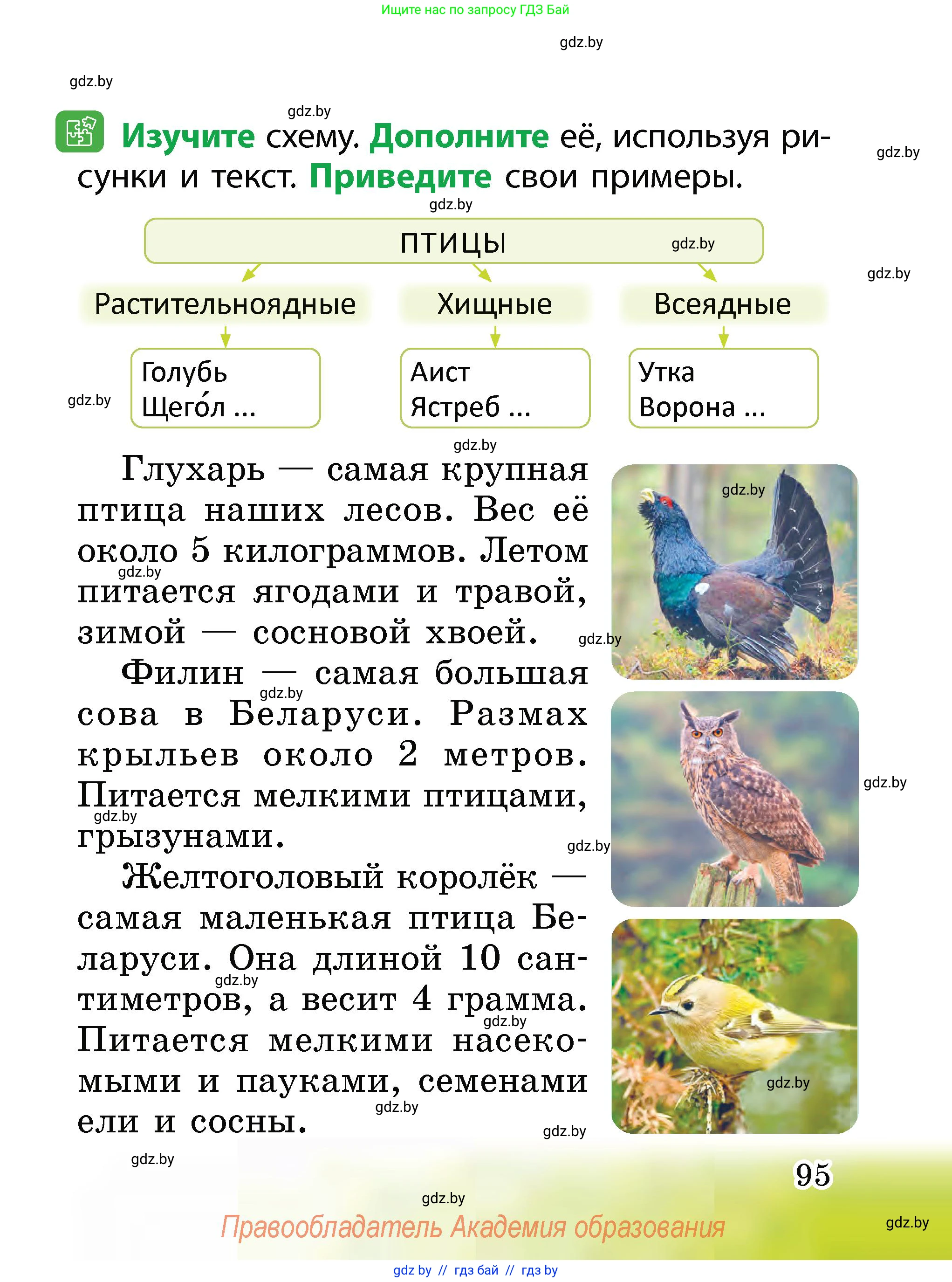 Человек и мир, 2 класс Учебник, авторы: Трафимова Галина Владимировна, Трафимов Сергей Анатольевич, издательство Академия образования, Минск, 2024, страница 95