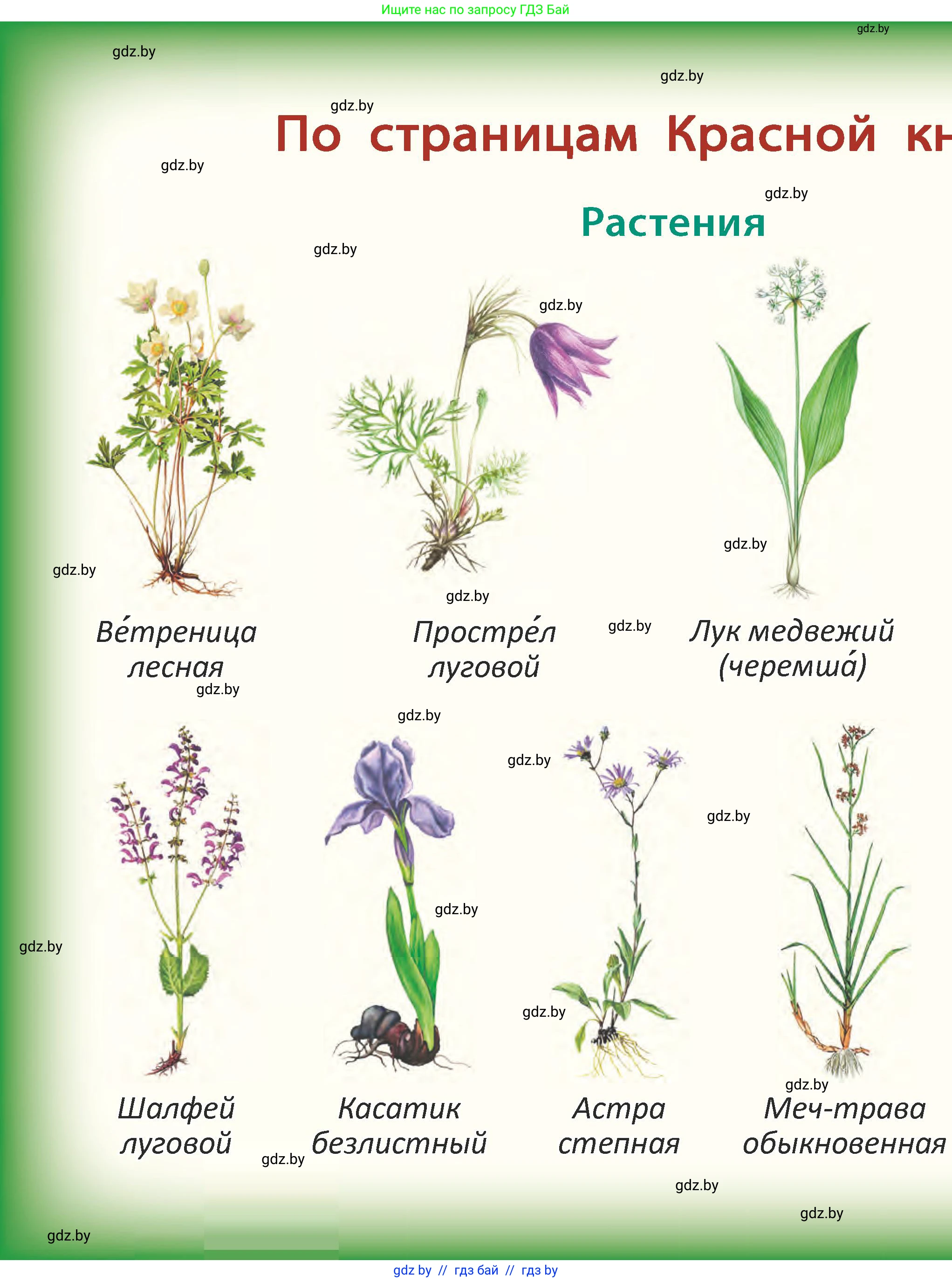 Человек и мир, 2 класс Учебник, авторы: Трафимова Галина Владимировна, Трафимов Сергей Анатольевич, издательство Академия образования, Минск, 2024, 