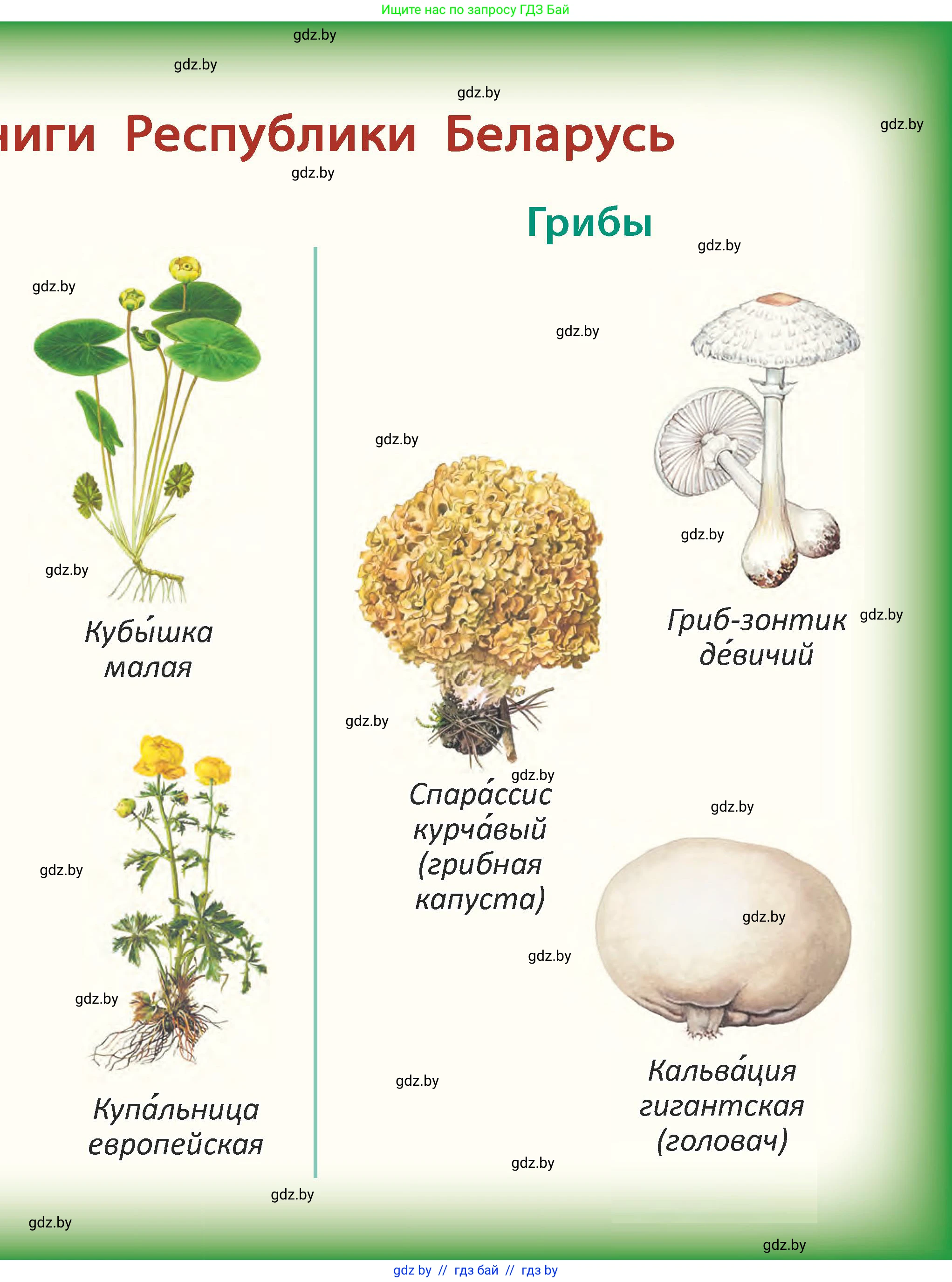 Человек и мир, 2 класс Учебник, авторы: Трафимова Галина Владимировна, Трафимов Сергей Анатольевич, издательство Академия образования, Минск, 2024, 