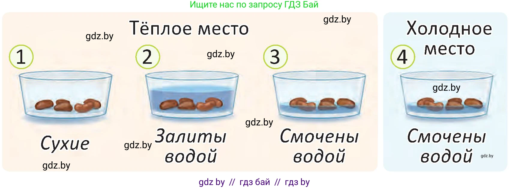 Человек и мир, 2 класс Учебник, авторы: Трафимова Галина Владимировна, Трафимов Сергей Анатольевич, издательство Академия образования, Минск, 2024, страница 40, номер 2, Условие (продолжение 2)