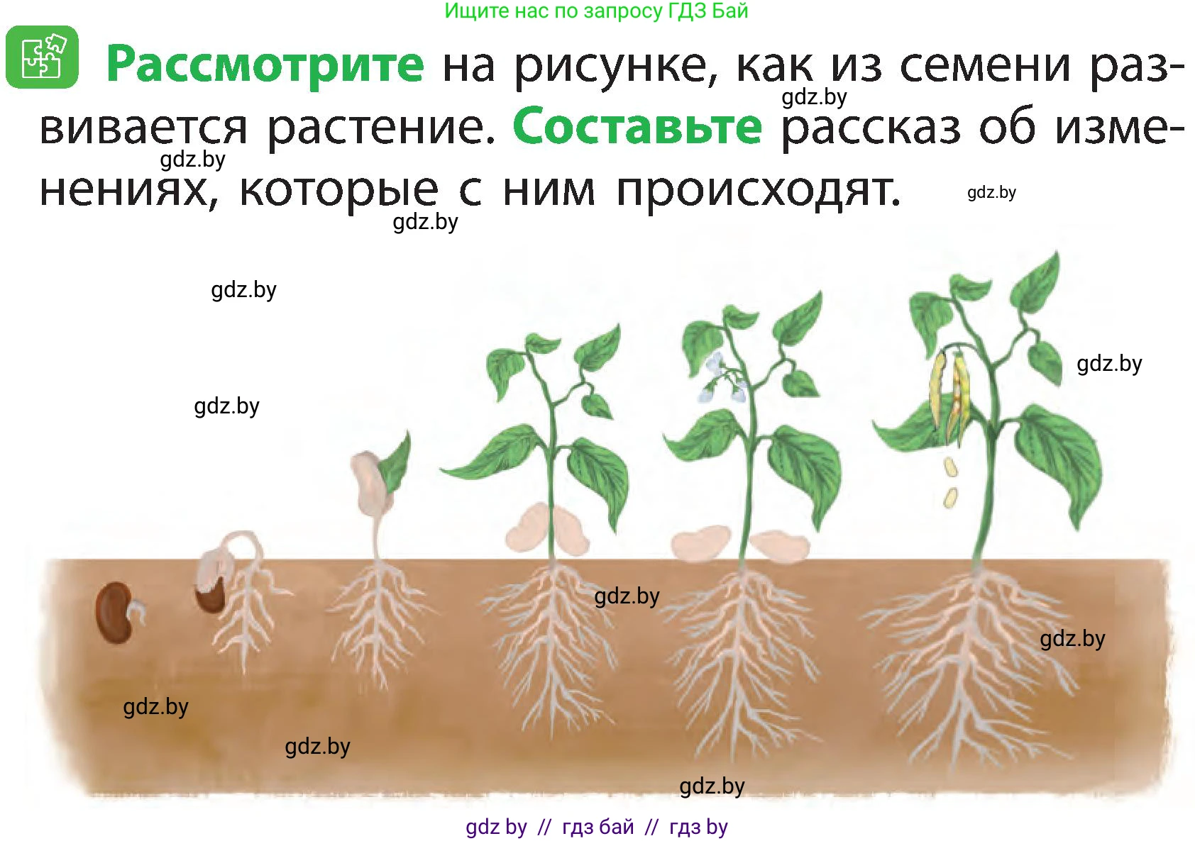 Человек и мир, 2 класс Учебник, авторы: Трафимова Галина Владимировна, Трафимов Сергей Анатольевич, издательство Академия образования, Минск, 2024, страница 43, номер 5, Условие