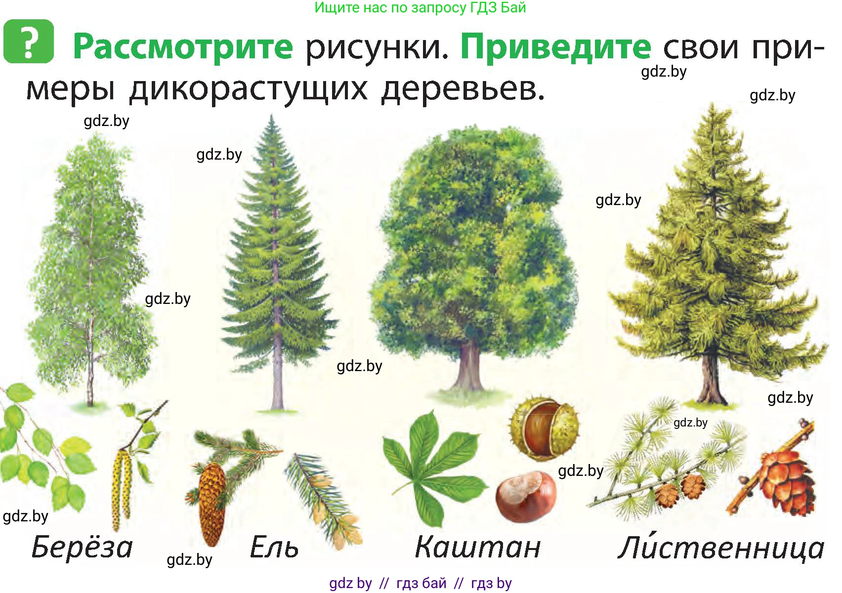 Человек и мир, 2 класс Учебник, авторы: Трафимова Галина Владимировна, Трафимов Сергей Анатольевич, издательство Академия образования, Минск, 2024, страница 44, номер 2, Условие