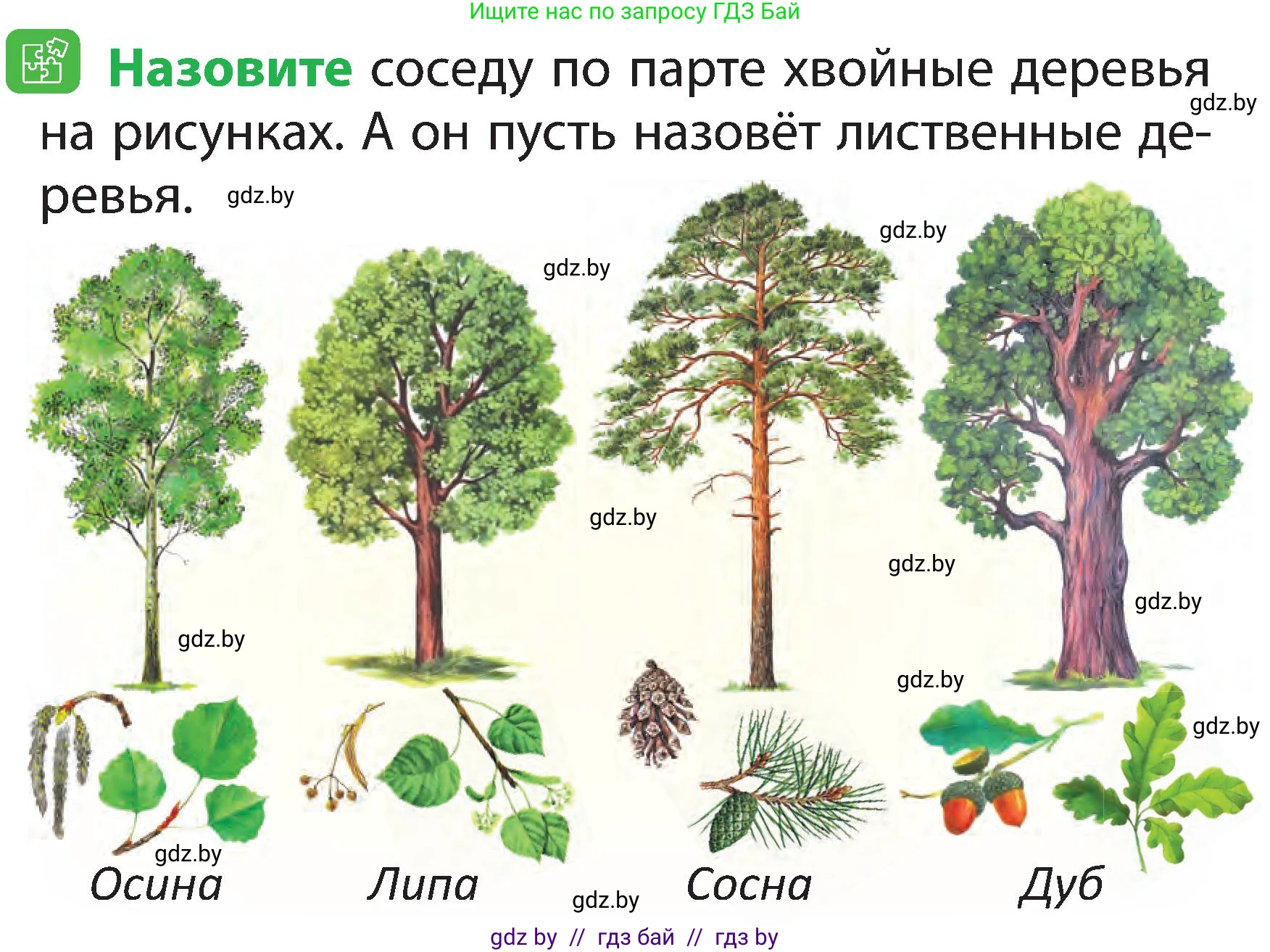 Человек и мир, 2 класс Учебник, авторы: Трафимова Галина Владимировна, Трафимов Сергей Анатольевич, издательство Академия образования, Минск, 2024, страница 45, номер 3, Условие
