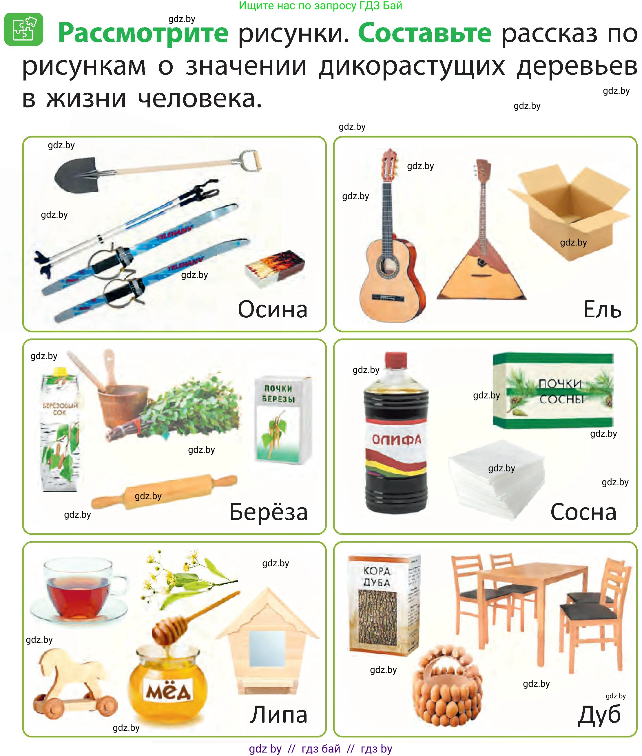 Человек и мир, 2 класс Учебник, авторы: Трафимова Галина Владимировна, Трафимов Сергей Анатольевич, издательство Академия образования, Минск, 2024, страница 47, номер 7, Условие