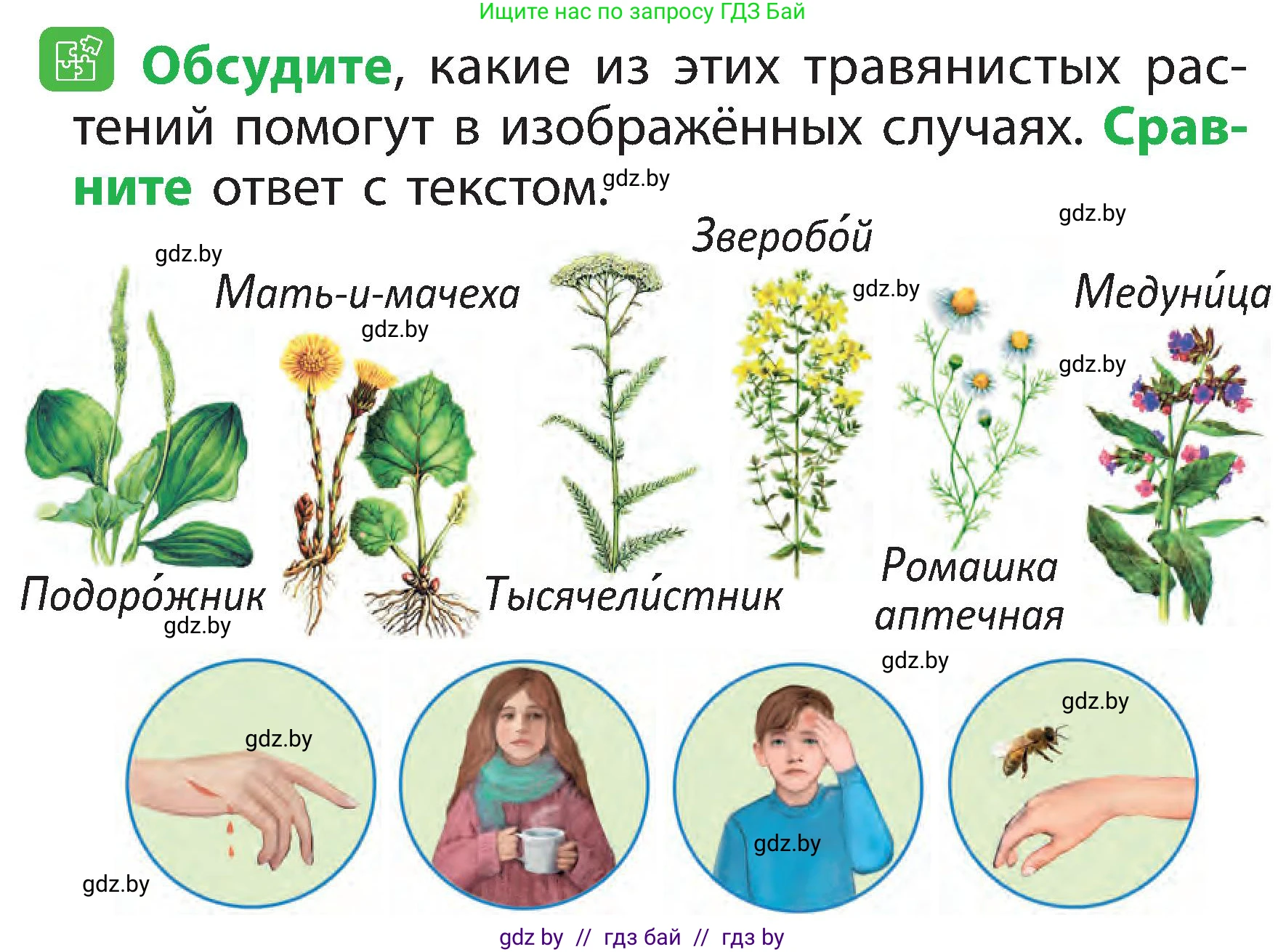 Человек и мир, 2 класс Учебник, авторы: Трафимова Галина Владимировна, Трафимов Сергей Анатольевич, издательство Академия образования, Минск, 2024, страница 54, номер 3, Условие