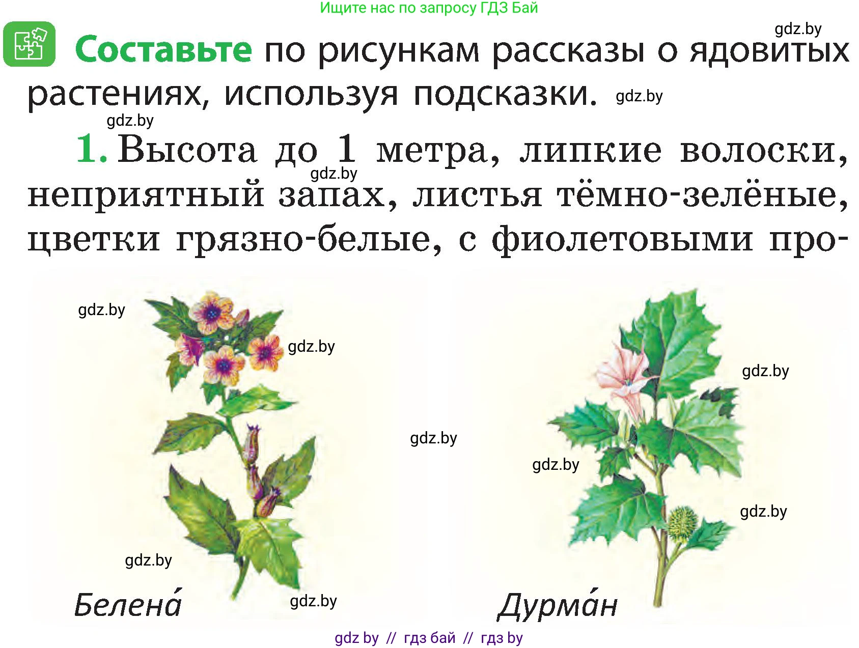 Человек и мир, 2 класс Учебник, авторы: Трафимова Галина Владимировна, Трафимов Сергей Анатольевич, издательство Академия образования, Минск, 2024, страница 56, номер 2, Условие