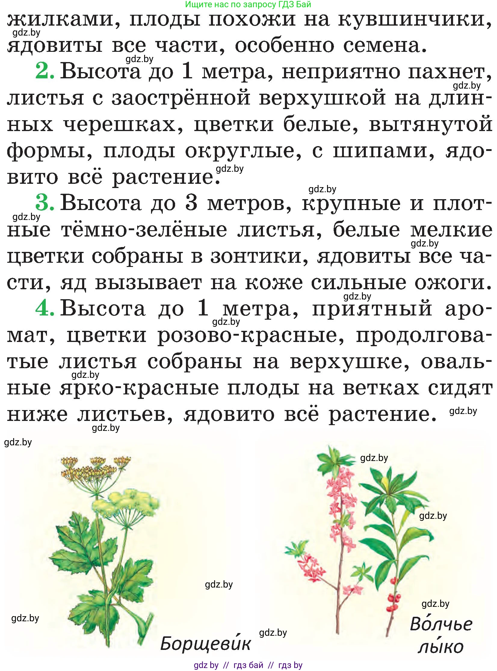 Человек и мир, 2 класс Учебник, авторы: Трафимова Галина Владимировна, Трафимов Сергей Анатольевич, издательство Академия образования, Минск, 2024, страница 56, номер 2, Условие (продолжение 2)