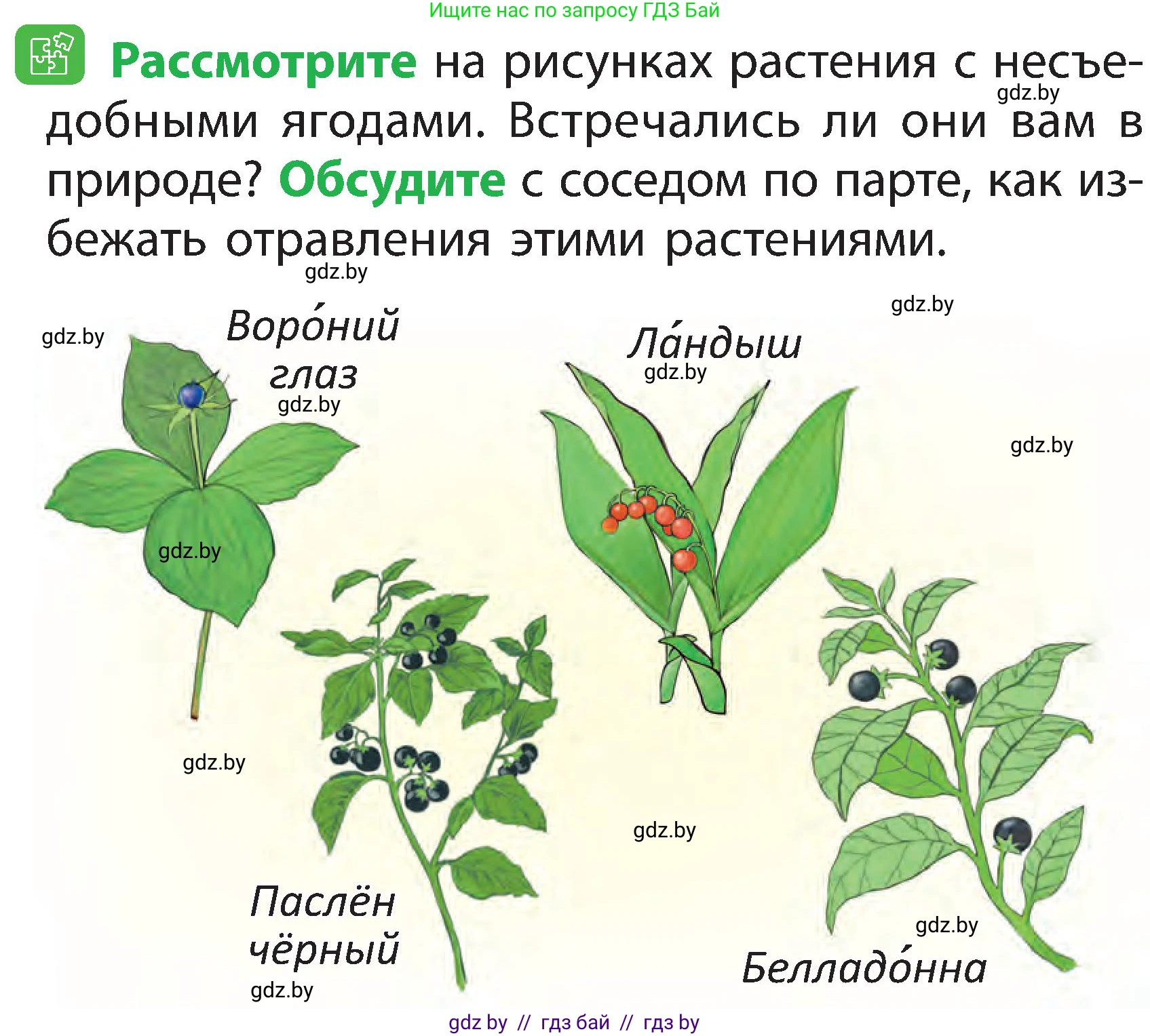 Человек и мир, 2 класс Учебник, авторы: Трафимова Галина Владимировна, Трафимов Сергей Анатольевич, издательство Академия образования, Минск, 2024, страница 58, номер 3, Условие