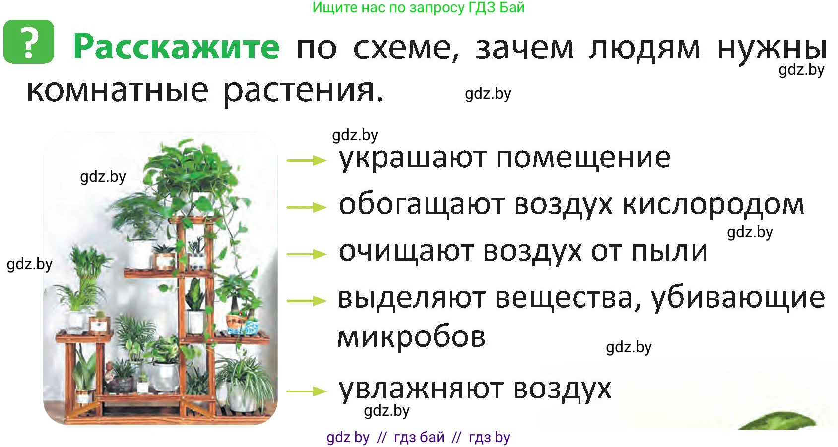 Человек и мир, 2 класс Учебник, авторы: Трафимова Галина Владимировна, Трафимов Сергей Анатольевич, издательство Академия образования, Минск, 2024, страница 70, номер 3, Условие