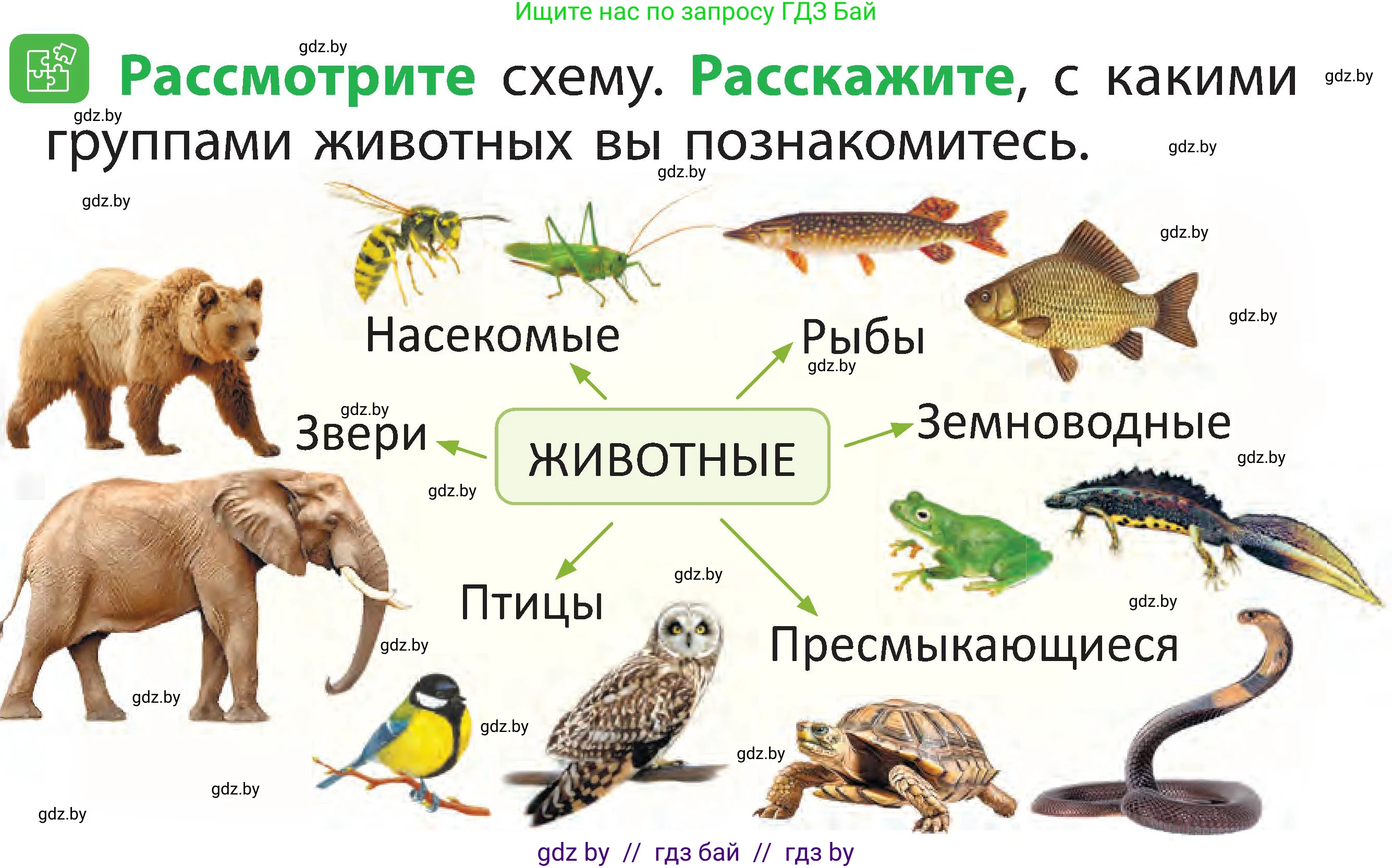 Человек и мир, 2 класс Учебник, авторы: Трафимова Галина Владимировна, Трафимов Сергей Анатольевич, издательство Академия образования, Минск, 2024, страница 77, номер 2, Условие