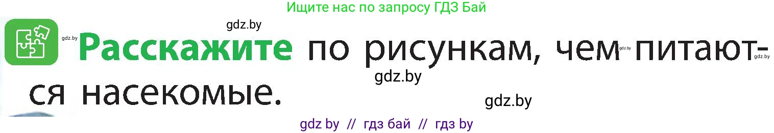 Человек и мир, 2 класс Учебник, авторы: Трафимова Галина Владимировна, Трафимов Сергей Анатольевич, издательство Академия образования, Минск, 2024, страница 80, номер 5, Условие