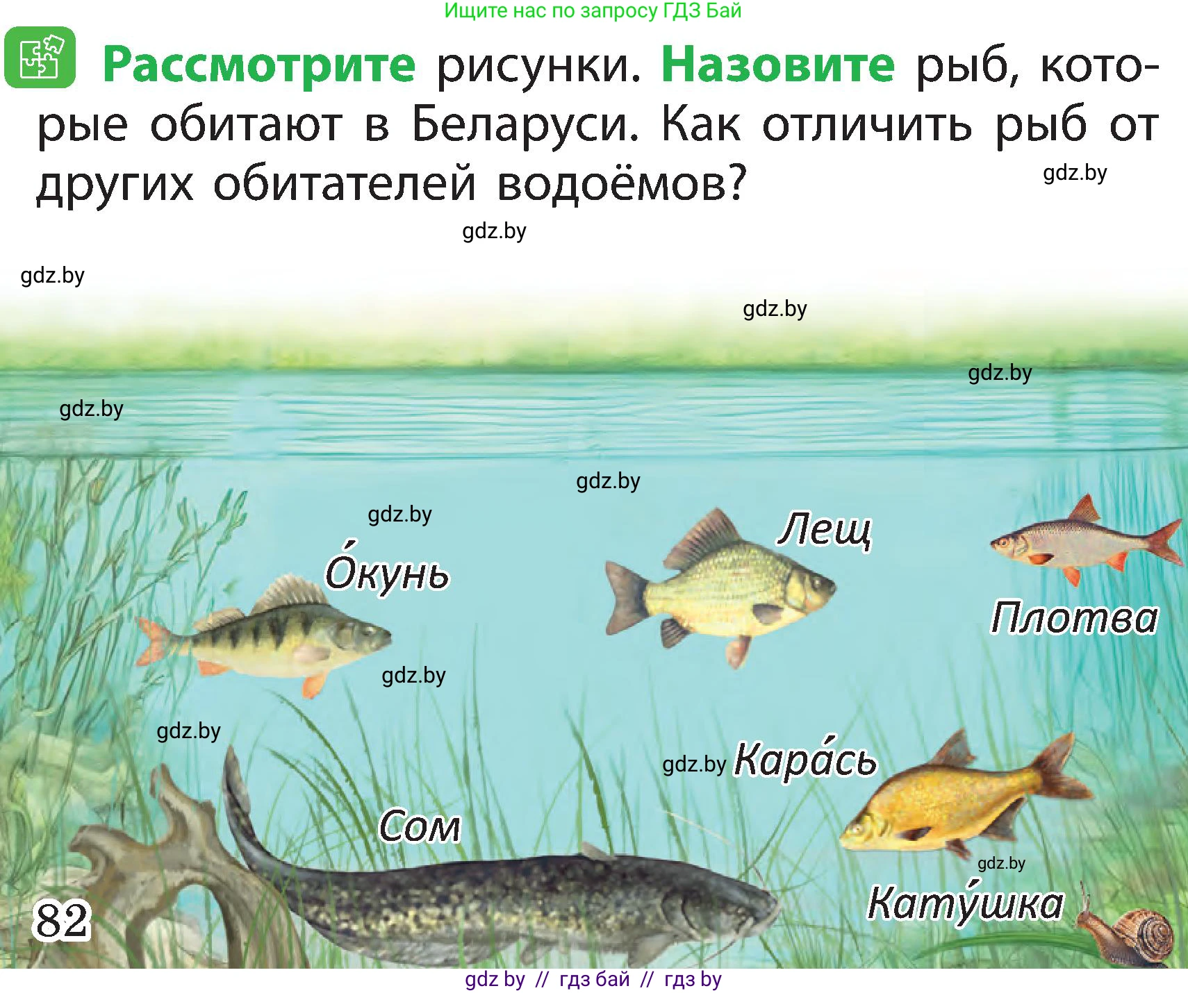 Человек и мир, 2 класс Учебник, авторы: Трафимова Галина Владимировна, Трафимов Сергей Анатольевич, издательство Академия образования, Минск, 2024, страница 82, номер 2, Условие