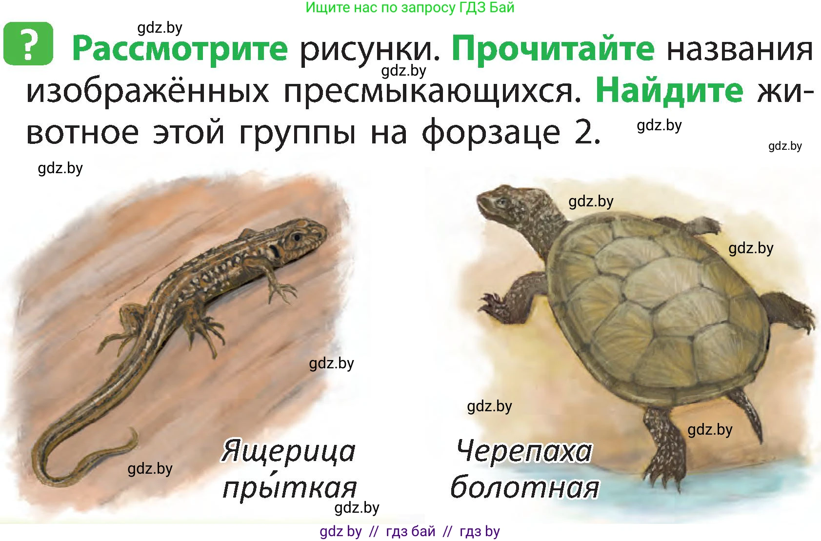 Человек и мир, 2 класс Учебник, авторы: Трафимова Галина Владимировна, Трафимов Сергей Анатольевич, издательство Академия образования, Минск, 2024, страница 90, номер 2, Условие