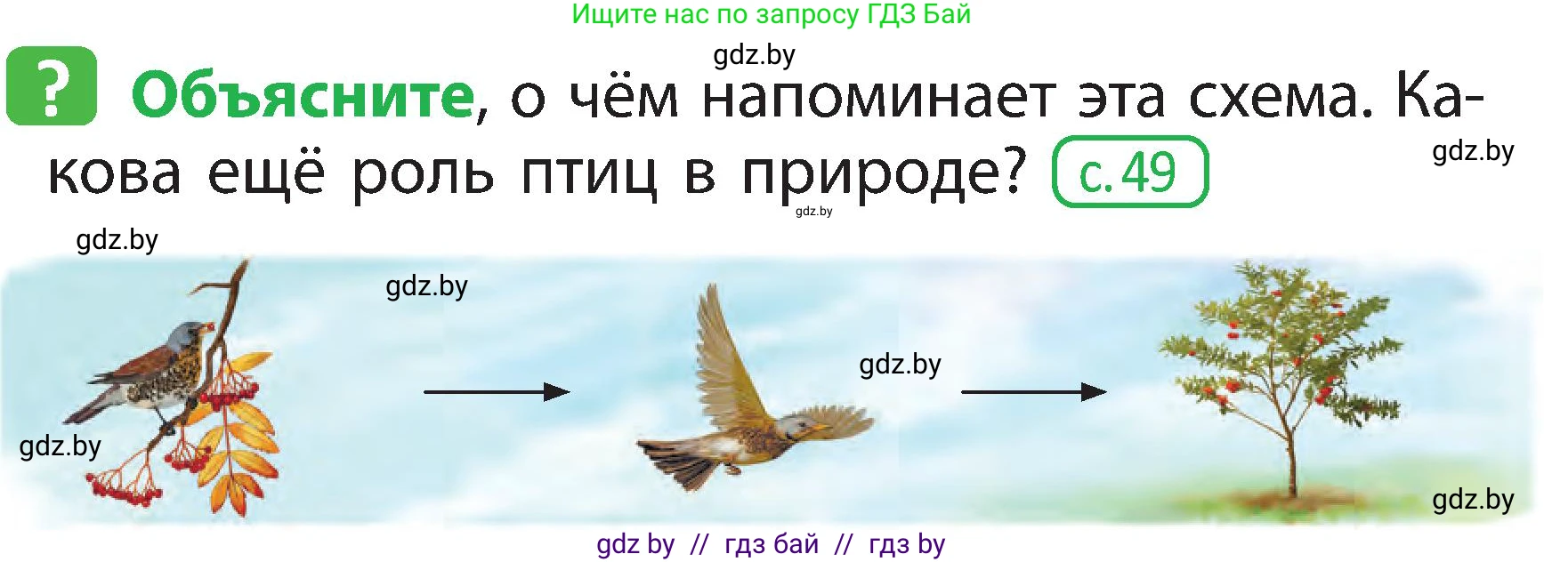 Человек и мир, 2 класс Учебник, авторы: Трафимова Галина Владимировна, Трафимов Сергей Анатольевич, издательство Академия образования, Минск, 2024, страница 96, номер 3, Условие
