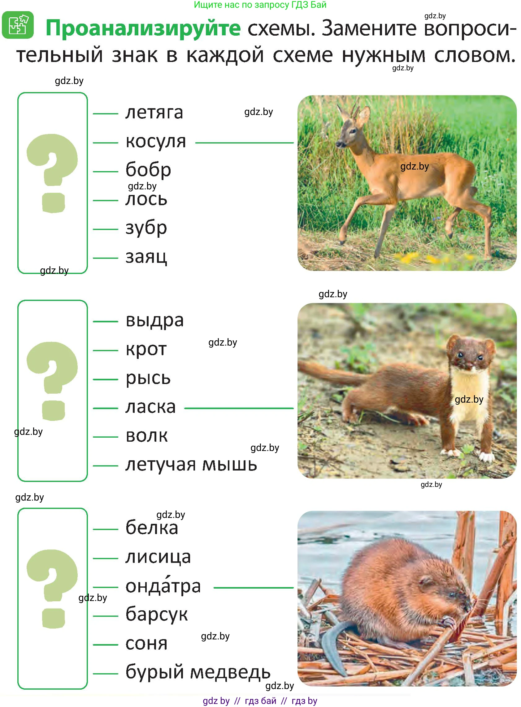 Человек и мир, 2 класс Учебник, авторы: Трафимова Галина Владимировна, Трафимов Сергей Анатольевич, издательство Академия образования, Минск, 2024, страница 100, номер 5, Условие